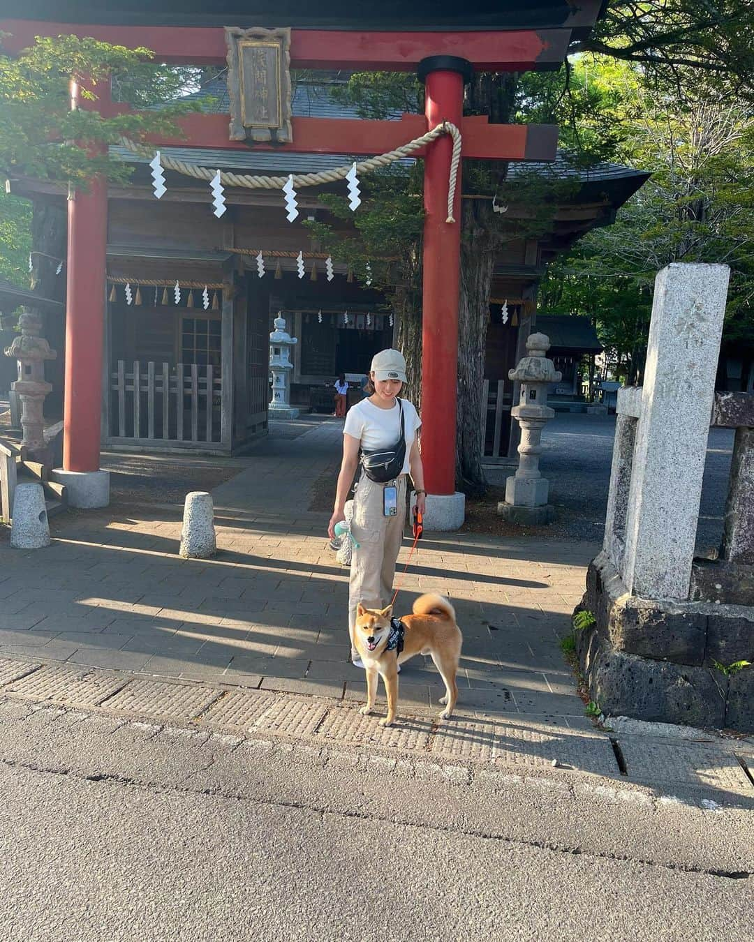 寺村美穂さんのインスタグラム写真 - (寺村美穂Instagram)「#20230521  プチ旅行🚗🩵  実家でしかペットを飼ったことがなかったし、飼い主初心者🔰で…お留守番の時間が長いとカーペットに穴開けるし、ぬいぐるみの綿出すし…(普段全然吠えないのはとても助かってる)💭  大変なことも多いけど、一緒に成長中です！ きょうで9ヶ月🐕🌞  #柴犬」5月21日 21時37分 - teramipooo