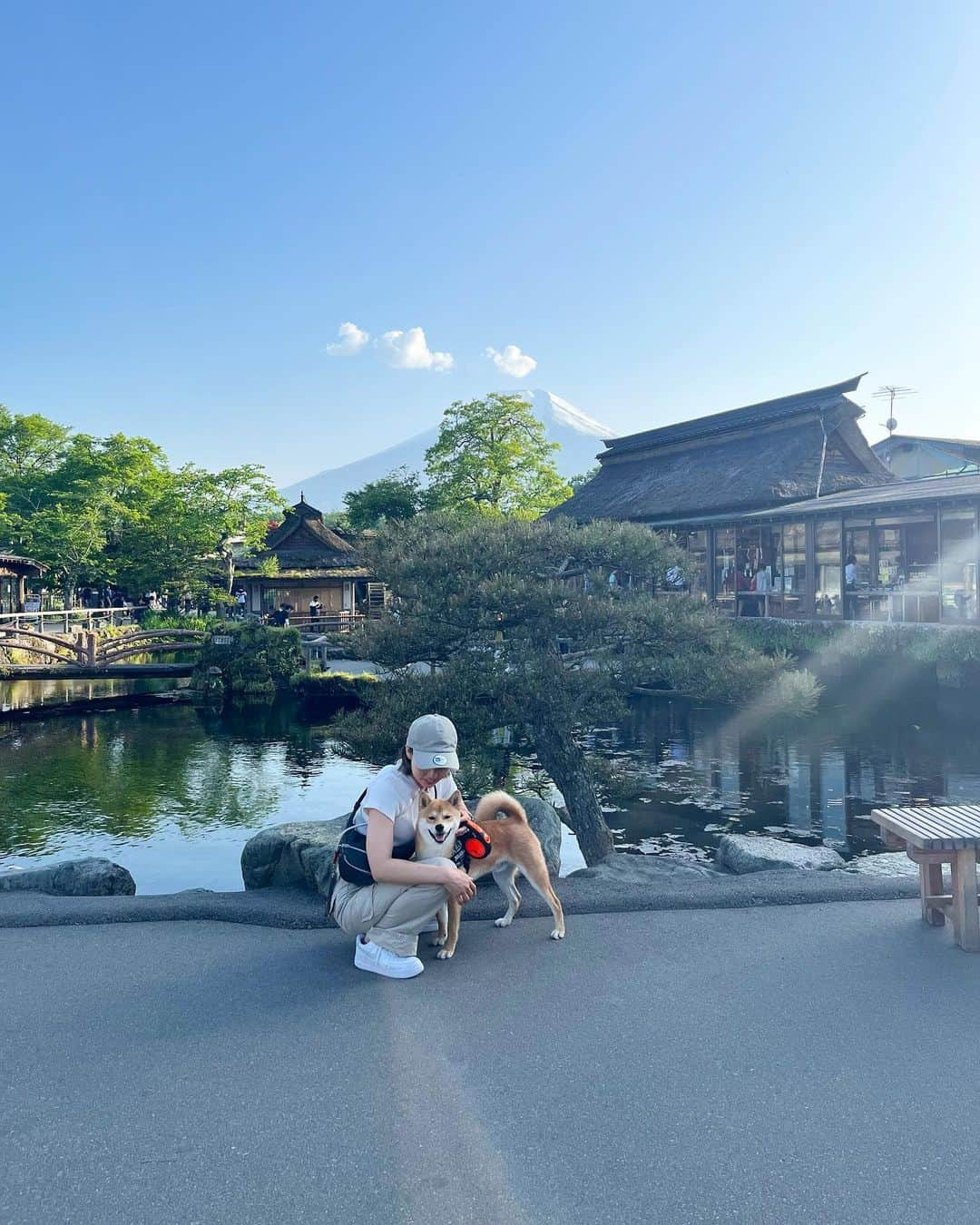 寺村美穂さんのインスタグラム写真 - (寺村美穂Instagram)「#20230521  プチ旅行🚗🩵  実家でしかペットを飼ったことがなかったし、飼い主初心者🔰で…お留守番の時間が長いとカーペットに穴開けるし、ぬいぐるみの綿出すし…(普段全然吠えないのはとても助かってる)💭  大変なことも多いけど、一緒に成長中です！ きょうで9ヶ月🐕🌞  #柴犬」5月21日 21時37分 - teramipooo