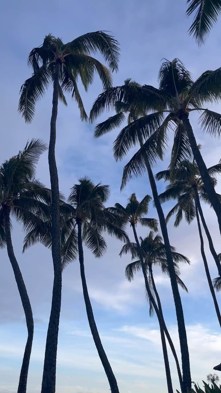 エレナ・アレジ・後藤のインスタグラム：「palm trees, the sea and more palm trees… ✨ thinking about hawaii 💭🤍」