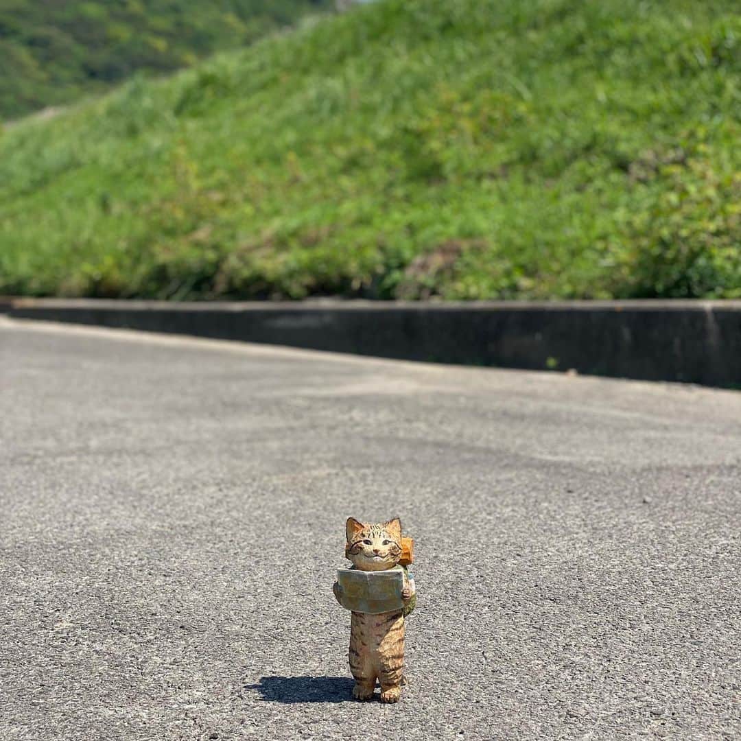 花房さくらさんのインスタグラム写真 - (花房さくらInstagram)「「なんか広い道に出たぞ！」 猫の旅はまだ始まったばかりです。  #猫は時として旅をする  #cat #sculpture #hanafusasakura」5月21日 21時45分 - sakura_hanafusa