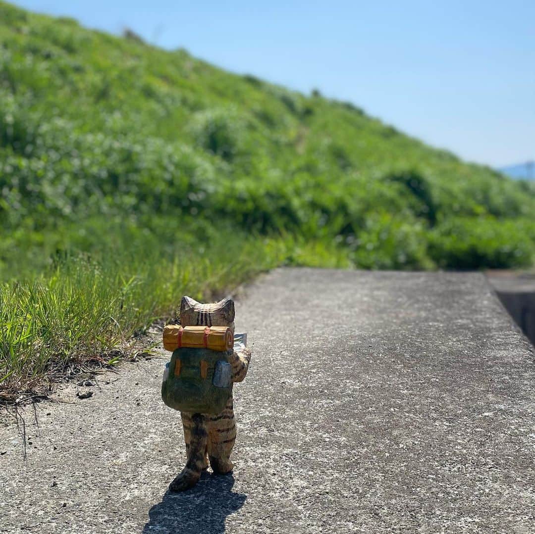 花房さくらさんのインスタグラム写真 - (花房さくらInstagram)「「なんか広い道に出たぞ！」 猫の旅はまだ始まったばかりです。  #猫は時として旅をする  #cat #sculpture #hanafusasakura」5月21日 21時45分 - sakura_hanafusa
