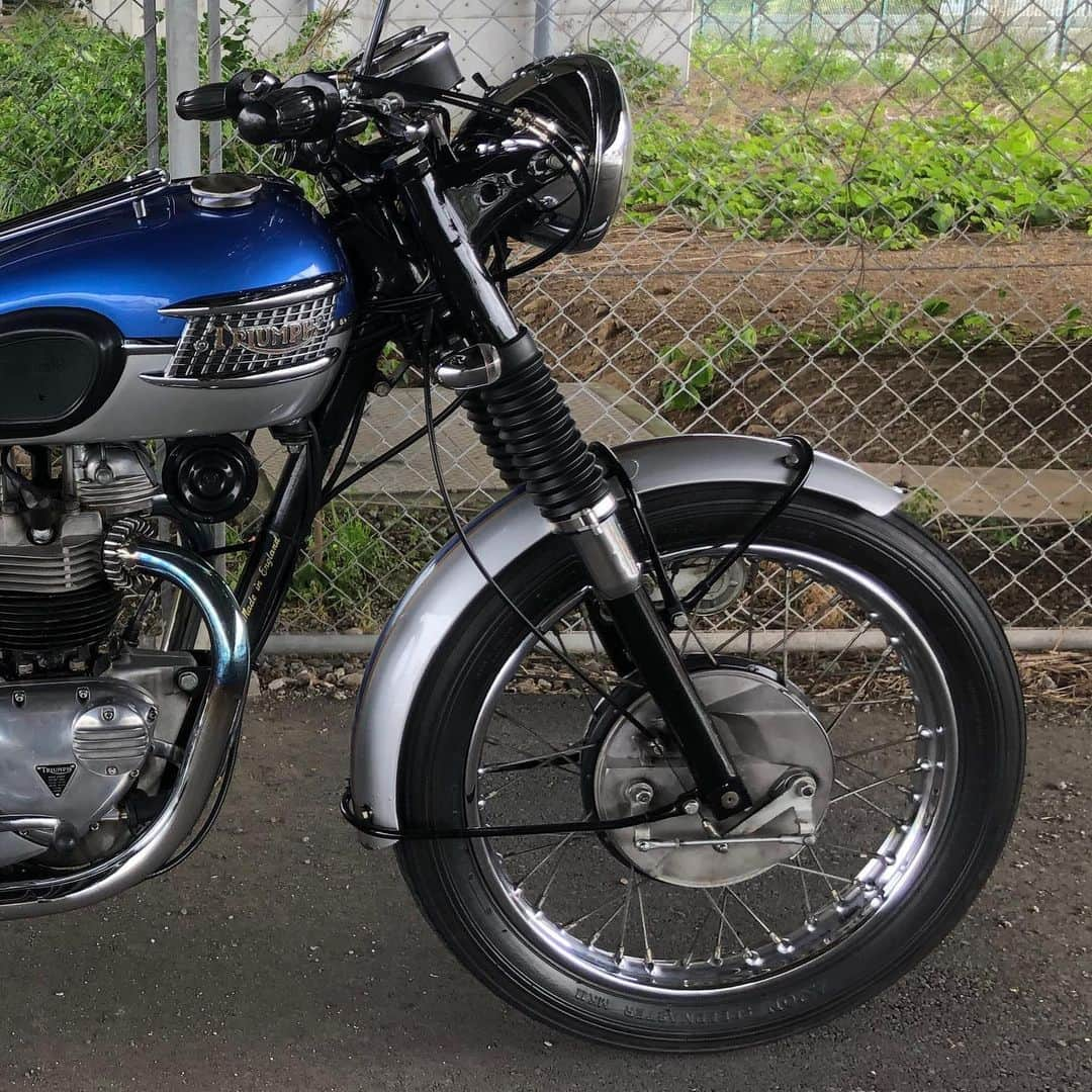 KIYOさんのインスタグラム写真 - (KIYOInstagram)「背景のフェンスがイカすぜ😆   #bestmotorcycleintheworld #triumph #t120 #bonneville #bonnie #britbike #britishmotorcycles #classicmotorcycles #lewisleathers #madeinengland #rockers  #caferacer #tonupboys #triumphmotorcycles #vintagetriumph #oldtriumph #oldtriumphsneverdie #バイクメーン #ボニー #トライアンフ #ボンネビル #ロッカーズ #カフェレーサー #ルイスレザー #ガレージライフ」5月21日 21時52分 - kiriko009