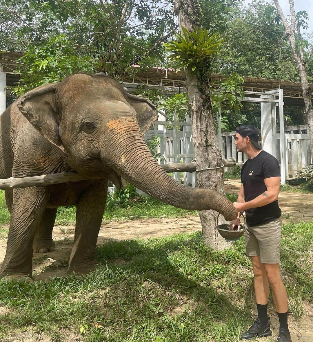 ポール・ノートンさんのインスタグラム写真 - (ポール・ノートンInstagram)「What a moving experience… Thank you @brookeshields for sharing with all of us such an incredible organization and chance to give love to these beautiful creatures. Thailand, tho it is a beautiful country steeped in culture, it has an unfortunate side of tourism that often treats animals very poorly. The Phucket Elephant Sanctuary is a place that rescues and gives a happy life to elephants who have been abused, and often permanently injured and I’m certain traumatized. I will proudly support this organization as often as I can and I urge any of you animal lovers out there to do the same with either a visit or a donation if you are able to! Feed and elephant … feed your soul! https://www.phuketelephantsanctuary.org/en/」5月21日 22時02分 - paulnortonhair