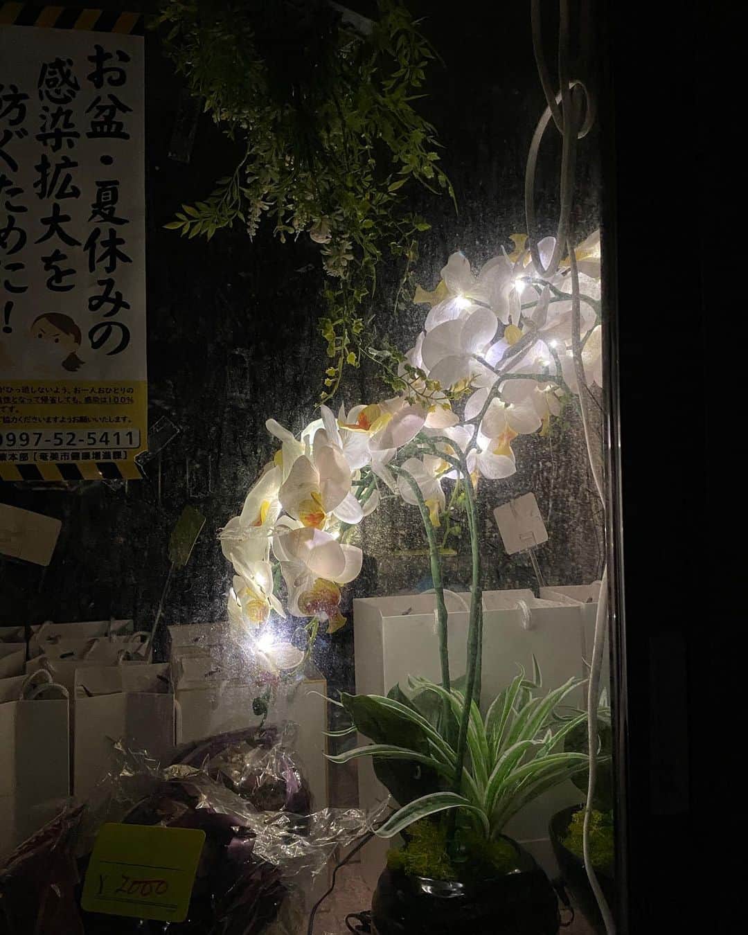 のインスタグラム