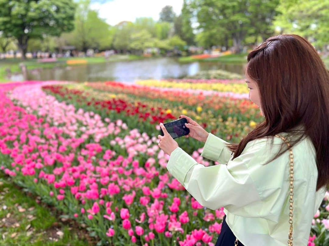 長野美郷のインスタグラム：「そういえばこちらも！ 春恒例！（わたしの） お花スポット巡り🌷2 正確にはこちらのが先、4月です😎  チューリップ目当てに🌷 なんとこちらも、4月半ばに訪れたらピーク過ぎでした🥹  暖かいから一律にみんな早く咲くんだなぁ なんだか感動🥹 私は去年同じ時期 何を着てたかも毎年覚えてないのに😂  #花好き #花巡り #🌷　#チューリップ はピーク過ぎでしたけど、その分#ネモフィラ と#菜の花 は満開でした😊 #昭和記念公園 #みさ旅」