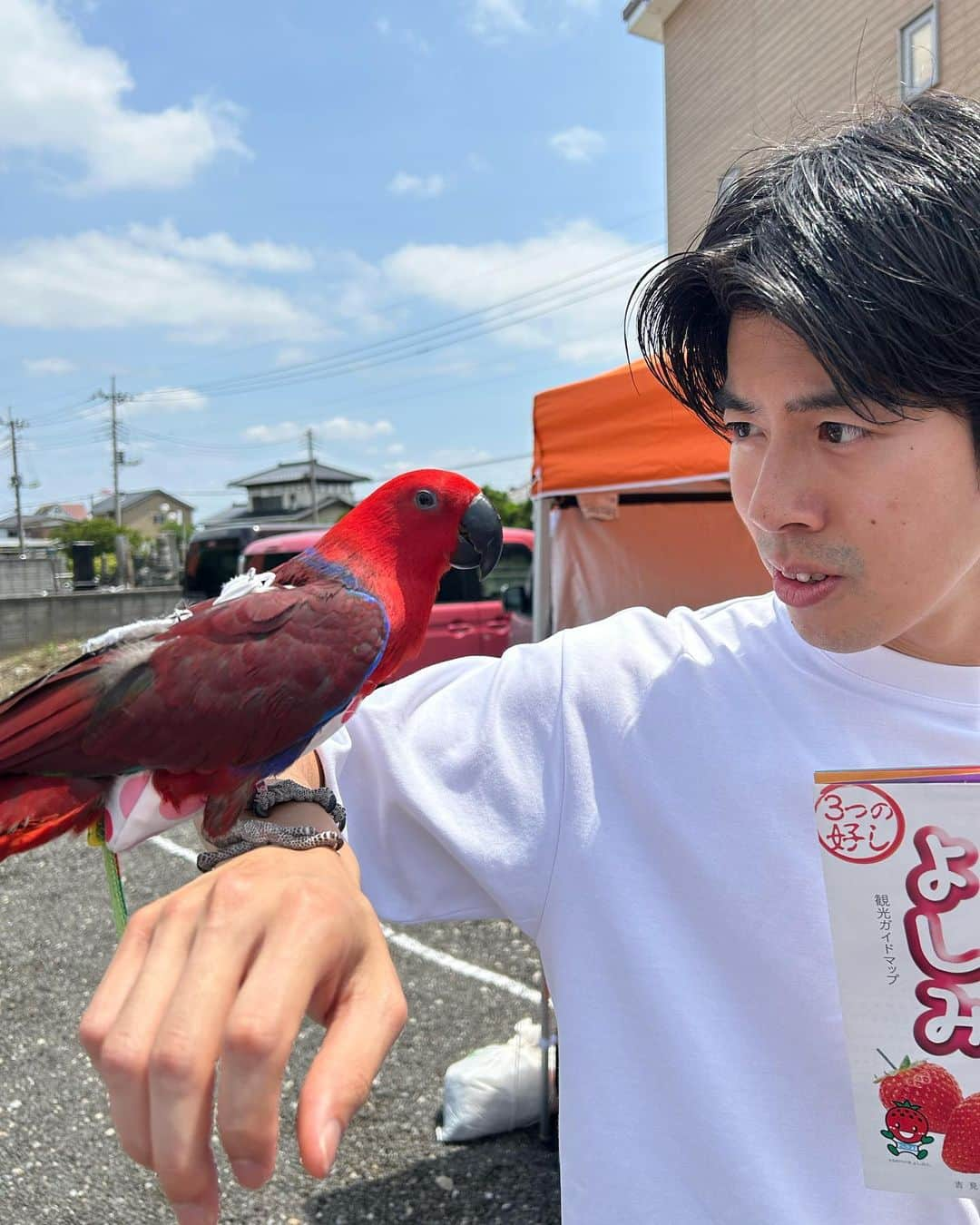 しょっぴーのインスタグラム