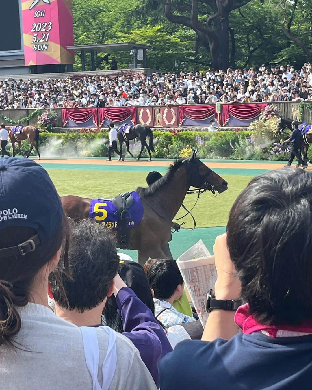 芳野友美さんのインスタグラム写真 - (芳野友美Instagram)「#東京競馬場 に行ってきた！！！ 　 今日は#優駿牝馬オークス ！！ 3歳乙女たちの闘いの日ということで、久しぶりに#G1レース 観戦してきました☺︎ やっぱり大舞台のあの歓声や熱気の中にいるとテンション上がります！ 　 当たり前だけど人が多くて背伸びばっかしてた（笑） 2枚目画像、#パドック も間近ではこの隙間からしか見えない状態。 　 この写真はダントツ人気の#リバティアイランド ！ 思った通り、いや期待以上の強さで6馬身も突き抜けて圧勝☆ ゴール前の突き放してる最中の一瞬の姿だけ、この目で何とか見ることができましたよー♪ 　 他の馬たちも本当にみんなカッコよくて可愛くて、凄いレースが見られました！ やっぱり#生観戦 いいですね～！！ 　 3枚目画像はお決まりの乗馬センターの方にも足を運んでみたけど、残念ながら触れ合いはやってなかったー。 でもまたシマウマ柄の（服を着た）お馬さんいたよ（笑） 　 前回シマウマがいるのかと騙されたやつ（笑） 後に知ったことなんだけど、シマウマ柄は虫よけになるらしいのです。 ちゃんと意味があった！！！」5月21日 23時14分 - yumi_yoshino_1980