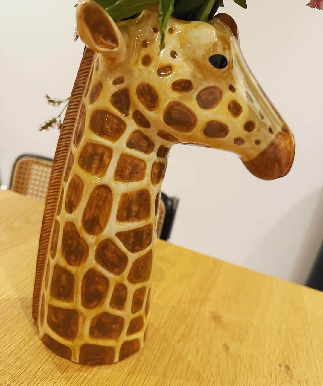中条あやみのインスタグラム：「最近のグッときたあれこれ🦒」