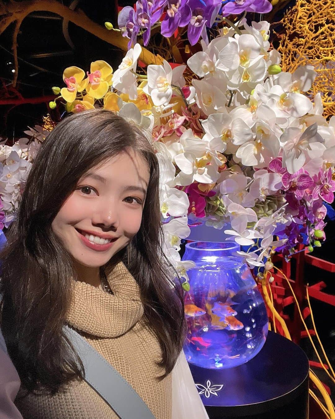 波田妃奈のインスタグラム