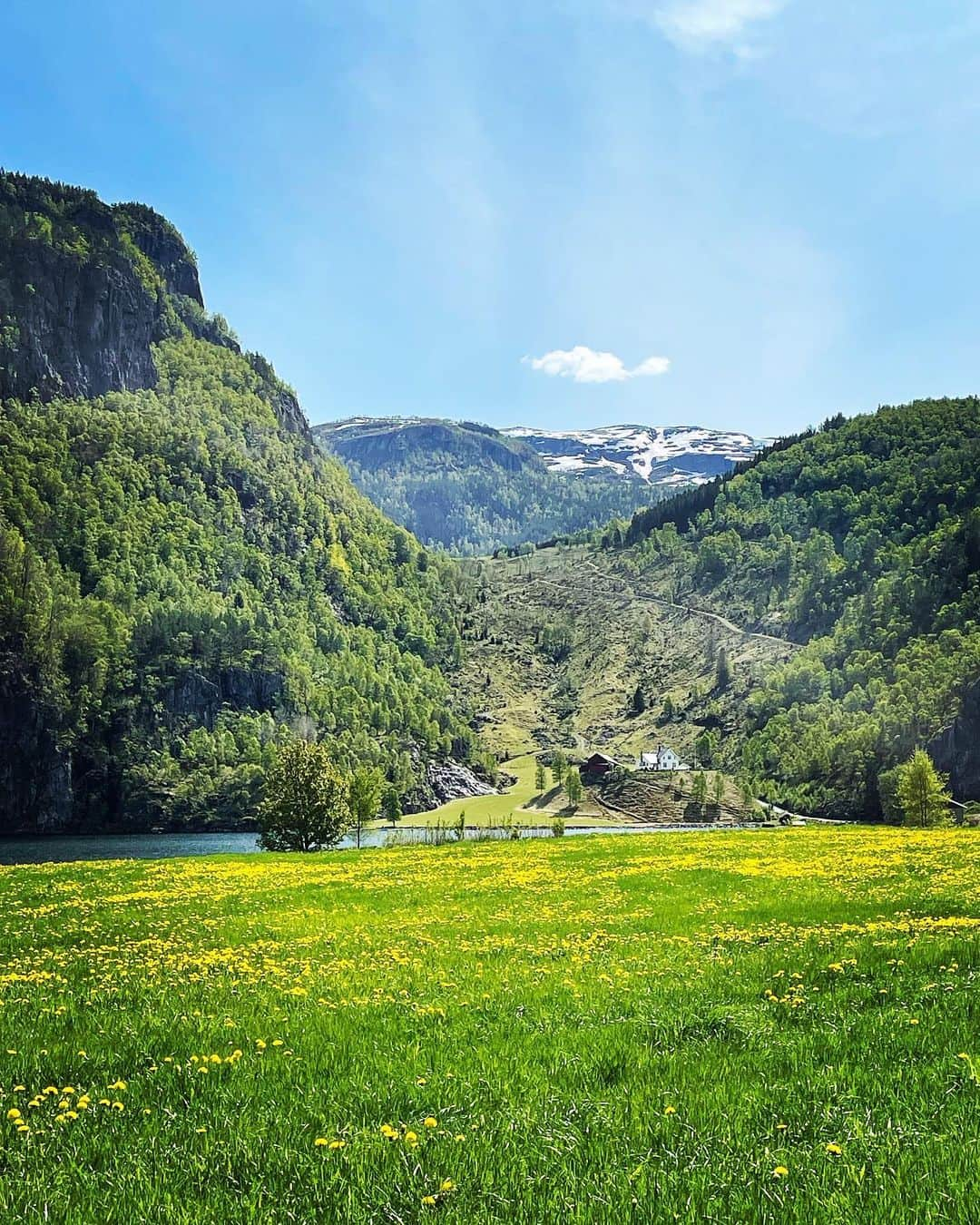 スルギのインスタグラム：「Røldal🌞 📸:Christian Ardie Dawal  #nature  #naturephotography  #norway  #norge  #travelphotography  #travelgram  #photography  #europe」