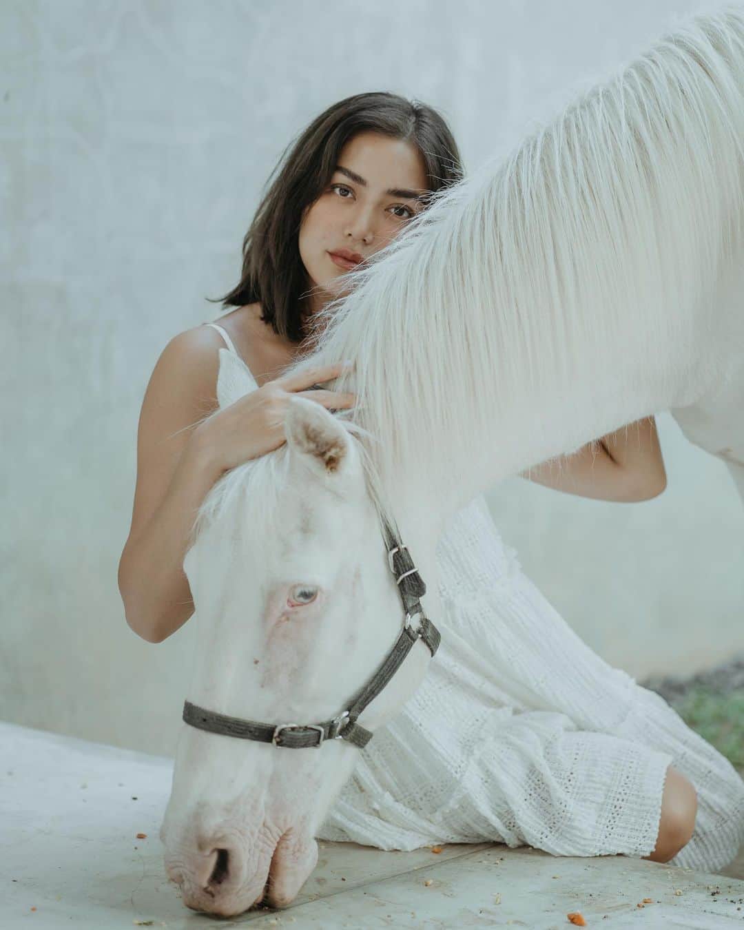 ジェシカ・イスカンダルさんのインスタグラム写真 - (ジェシカ・イスカンダルInstagram)「Lagi P-D-K-T   #jedar dan #kuda  #jessicaiskandar #horse #white #bali #indonesia」5月24日 10時30分 - inijedar