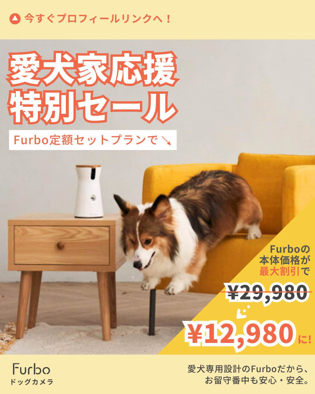 Furbo ドッグカメラさんのインスタグラム写真 - (Furbo ドッグカメラInstagram)「@furbo_japan 👈 最安値でFurbo本体をゲット！  💛 愛犬家応援 特別セール💛  Furbo公式サイト限定でご案内している ❮ Furbo定額セットプラン ❯‎なら、  Furboドッグカメラ360°ビュー本体が 【 🎊最大17,000円OFF🎊 】に！  最大割引率で、 定価 ¥29,980 → ✨¥12,980✨まで お安くなるんです！🥳  愛犬専用設計のFurboだから、 お留守番中も安心・安全です⇩⇩⇩  〰〰〰〰〰〰〰〰〰〰〰〰〰〰〰〰  ❮ Furbo定額セットプラン ❯‎とは？🤔  \  Furboのトータルケアを実現したセット🌟 / ・Furboドッグカメラ360°ビュー 本体🎥 ・AI活用ペット専用設計機能「Furboドッグシッター」  Furboドッグカメラ本体購入時に 「Furboドッグシッター」をご契約いただくことで  ✨最安値✨で Furboドッグカメラ本体 を ゲットできるプランなんです！🥳  「Furboドッグシッター」とは?: 日本初のAI活用型ドッグシッターサービス。 愛犬の安全や健康にまつわるリスクを察知して お知らせ＆自動録画するなどの高機能が満載！  Furboドッグシッターのご契約は 1年契約／2年契約 からお選びいただけます💡  まずは公式サイトで 機能と価格を検討してみてくださいね！🐕✨ ▶︎ @furbo_japan   〰〰〰〰〰〰〰〰〰〰〰〰〰〰〰〰  #Furbo #ファーボ #ドッグカメラ #ペットカメラ #見守りカメラ #お留守番カメラ #犬すたぐらむ #わんすたぐらむ #犬好きさんと繋がりたい #犬のいる暮らし #犬との生活 #犬グッズ #ペットグッズ #ペット用品 #ペット家電 #セール」5月22日 12時01分 - furbo_japan