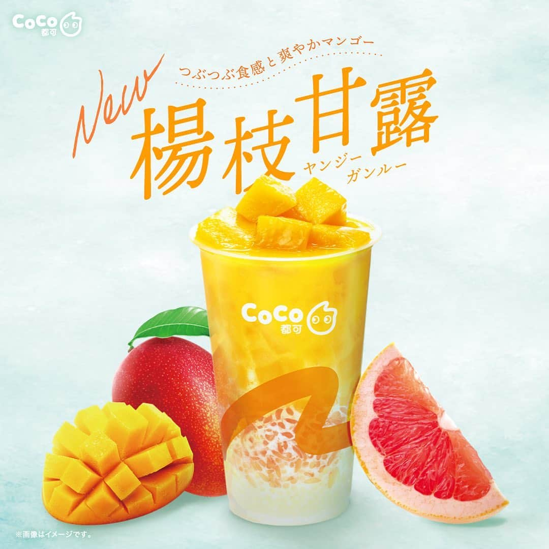 CoCo都可 原宿店・渋谷センター街店のインスタグラム：「CoCo都可の夏🥭 人気アジアンスイーツの「ヤンジーガンルー」が、 ついに日本上陸🏝️  CoCo都可のヤンジーガンルーは、 マンゴー 、グレープフルーツ、サゴ(小粒のタピオカ )に、 まろやかなヨーグルトをブレンド🥛 太陽の光がキラキラと眩しいこれからの季節に合った、 南国気分を味わえるドリンクです🌞  CoCo都可が自信を持ってお届けする待望の新商品で、 やみつきになること間違いなし！ 「ヤンジーガンルー」と共に、 初夏の訪れと楽しいひと時をお過ごしください🌈  ■ヤンジーガンルー(楊枝甘露) ジューシーなマンゴーとヨーグルトの甘さに、 グレープフルーツの爽やかさが調和された1杯。 小さなタピオカ(サゴ)と、果肉がアクセントとなって、 見た目も食感も楽しめます。  ■ 商品概要 【名称】ヤンジーガンルー 【店頭価格】￥680（税込） 【サイズ】Mサイズ 【甘さの調整】普通 【氷の調整】普通 【トッピング】不可 【販売期間】2023年5月22日(月) ~ 【提供開始時間】 渋谷本店・高田馬場店・秋葉原店・なんばCITY店・ピアザ神戸店　12:00~ 下北沢店　平日 14:00~ /土日 13:00~ 【販売店舗】渋谷本店・高田馬場店・秋葉原店・下北沢店・なんばCITY店・ピアザ神戸店  #新商品 #ヤンジーガンルー #楊枝甘露 #果肉 #マンゴースイーツ #季節限定 #CoCo都可 #マンゴー #グレープフルーツ #🥭」