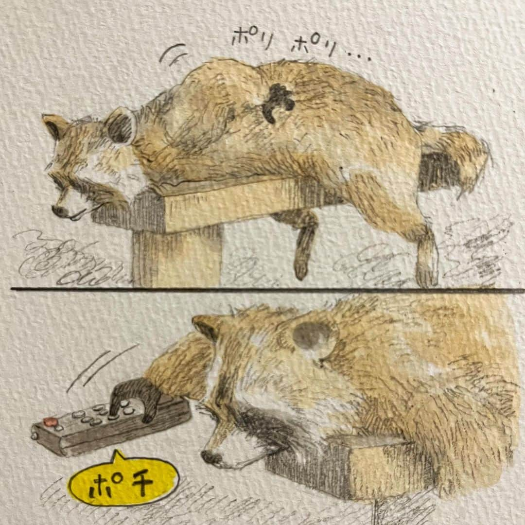 いとうさんのインスタグラム写真 - (いとうInstagram)「動物園でのお絵描き。  半分はお仕事で、もう半分は生き物好きな姪っこたちに見せたくて、春の日の動物たちに会ってきました^_^  【追記】何らかの不具合のため、２枚目のイラストが一時見えにくい状態にあるようです。表示ボタンをタップしていただければ、イラストが表示されますので、安心してご覧頂けたら幸いです^_^  　#ぽかぽか陽気な春の日に　#小学生ぶりくらいに動物園を巡ってみたところ　#日向ぼっこしているアライグマさんとか　#ぬぼーっと水につかっているカピバラさんとか　#動物たちのなんとも気の抜けた表情が　#ちょっとおじさんぽいよね(´ω`) #とお仕事仲間のキー先生と共に笑って見ていたのですが　#よく考えたら休日の自分とすごく重なっていたのでした^_^  　#イトウハジメ #イラスト　#漫画」5月22日 5時34分 - itototoon