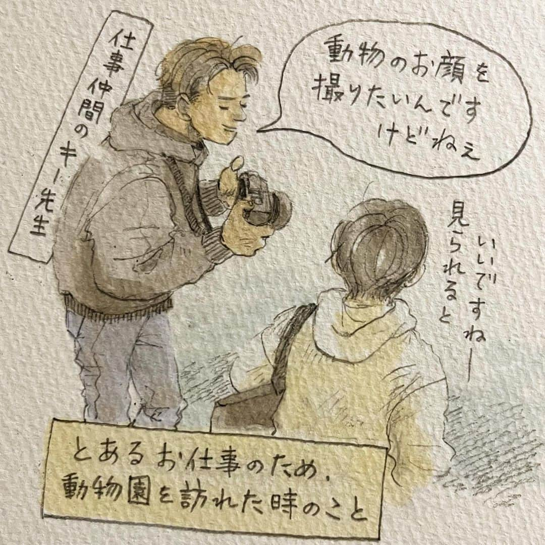 いとうさんのインスタグラム写真 - (いとうInstagram)「動物園でのお絵描き。  半分はお仕事で、もう半分は生き物好きな姪っこたちに見せたくて、春の日の動物たちに会ってきました^_^  【追記】何らかの不具合のため、２枚目のイラストが一時見えにくい状態にあるようです。表示ボタンをタップしていただければ、イラストが表示されますので、安心してご覧頂けたら幸いです^_^  　#ぽかぽか陽気な春の日に　#小学生ぶりくらいに動物園を巡ってみたところ　#日向ぼっこしているアライグマさんとか　#ぬぼーっと水につかっているカピバラさんとか　#動物たちのなんとも気の抜けた表情が　#ちょっとおじさんぽいよね(´ω`) #とお仕事仲間のキー先生と共に笑って見ていたのですが　#よく考えたら休日の自分とすごく重なっていたのでした^_^  　#イトウハジメ #イラスト　#漫画」5月22日 5時34分 - itototoon