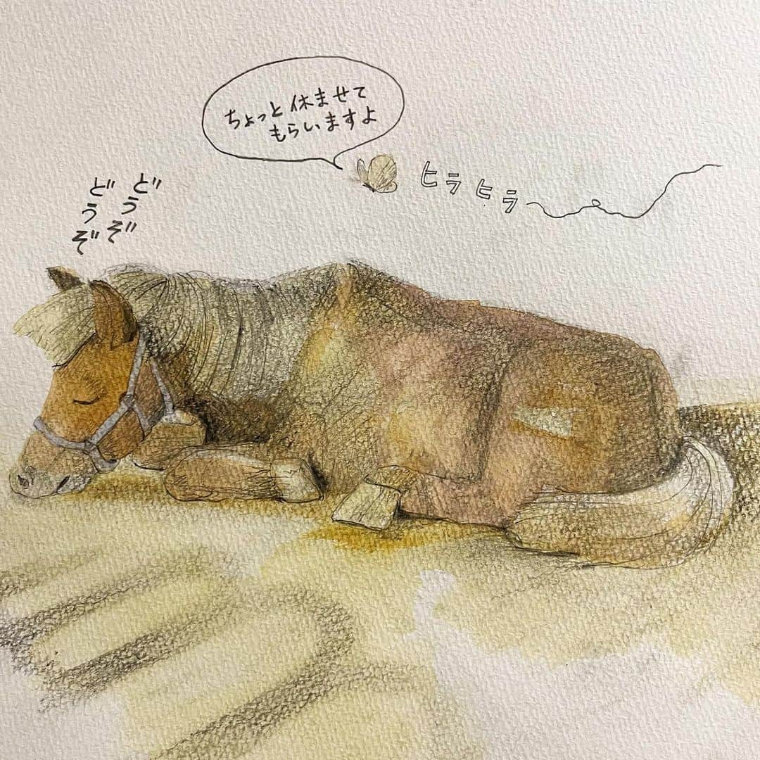 いとうさんのインスタグラム写真 - (いとうInstagram)「動物園でのお絵描き。  半分はお仕事で、もう半分は生き物好きな姪っこたちに見せたくて、春の日の動物たちに会ってきました^_^  【追記】何らかの不具合のため、２枚目のイラストが一時見えにくい状態にあるようです。表示ボタンをタップしていただければ、イラストが表示されますので、安心してご覧頂けたら幸いです^_^  　#ぽかぽか陽気な春の日に　#小学生ぶりくらいに動物園を巡ってみたところ　#日向ぼっこしているアライグマさんとか　#ぬぼーっと水につかっているカピバラさんとか　#動物たちのなんとも気の抜けた表情が　#ちょっとおじさんぽいよね(´ω`) #とお仕事仲間のキー先生と共に笑って見ていたのですが　#よく考えたら休日の自分とすごく重なっていたのでした^_^  　#イトウハジメ #イラスト　#漫画」5月22日 5時34分 - itototoon