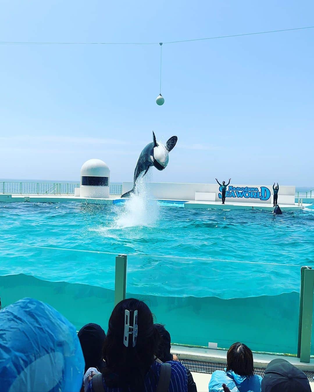 のインスタグラム：「久しぶりのシーワールドへ🐟 今回もダイナミックなシャチのショーでずぶ濡れ それを楽しんでる子供の姿に成長を感じたよ。 夜には寝ているシャチを見る事が出来て貴重な体験が出来ました！ 今週も元気に過ごしましょ！」