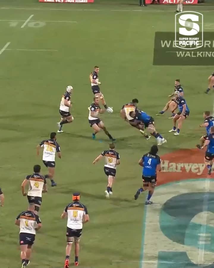 Super Rugbyのインスタグラム：「The Monday sting 💥  #SuperRugbyPacific」