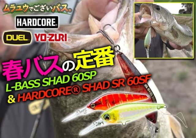 LureNews.TVのインスタグラム