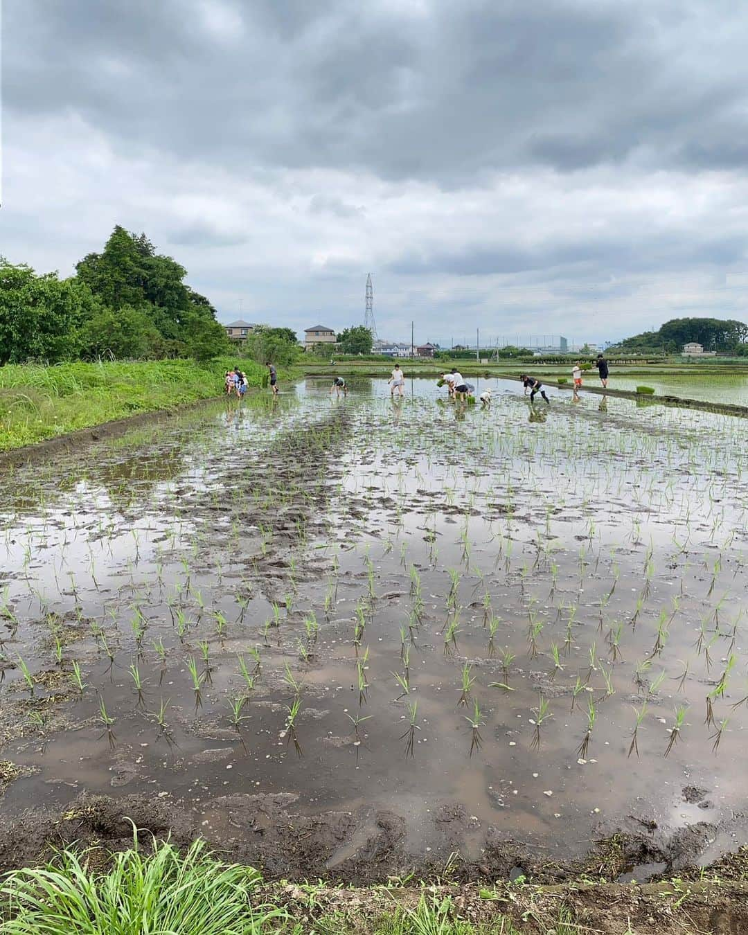 Kazukiさんのインスタグラム写真 - (KazukiInstagram)「皆んなで田植え🌾 一粒万倍日に手植えにチャレンジ. . 機械でやれば1時間で終わる作業でも、手植えだと4時間🌾 . わざわざ不便で、手間がかかることをしてでも自然から感じる体験と経験はこれからの財産になると信じてます. . 色々な人が土に触れて、色々な人の菌が土壌に還元されて最後は腸で繋がっていく田んぼ作り. 田んぼを通じて出会いの輪が繋がっていくのがなによりのやりがいです. . 無添加、無農薬のお米作りへのチャレンジ!! 参加してくれた皆んなありがとう. そして、 いつもサポートしてくれる　@kiraboshi_farm  ありがとうございます。 . 次回開催は7月予定です.」5月22日 9時21分 - kazukihamano