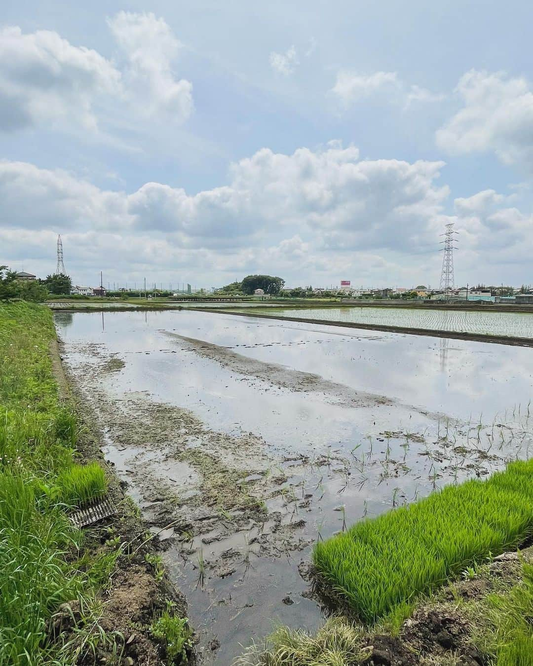 Kazukiさんのインスタグラム写真 - (KazukiInstagram)「皆んなで田植え🌾 一粒万倍日に手植えにチャレンジ. . 機械でやれば1時間で終わる作業でも、手植えだと4時間🌾 . わざわざ不便で、手間がかかることをしてでも自然から感じる体験と経験はこれからの財産になると信じてます. . 色々な人が土に触れて、色々な人の菌が土壌に還元されて最後は腸で繋がっていく田んぼ作り. 田んぼを通じて出会いの輪が繋がっていくのがなによりのやりがいです. . 無添加、無農薬のお米作りへのチャレンジ!! 参加してくれた皆んなありがとう. そして、 いつもサポートしてくれる　@kiraboshi_farm  ありがとうございます。 . 次回開催は7月予定です.」5月22日 9時21分 - kazukihamano