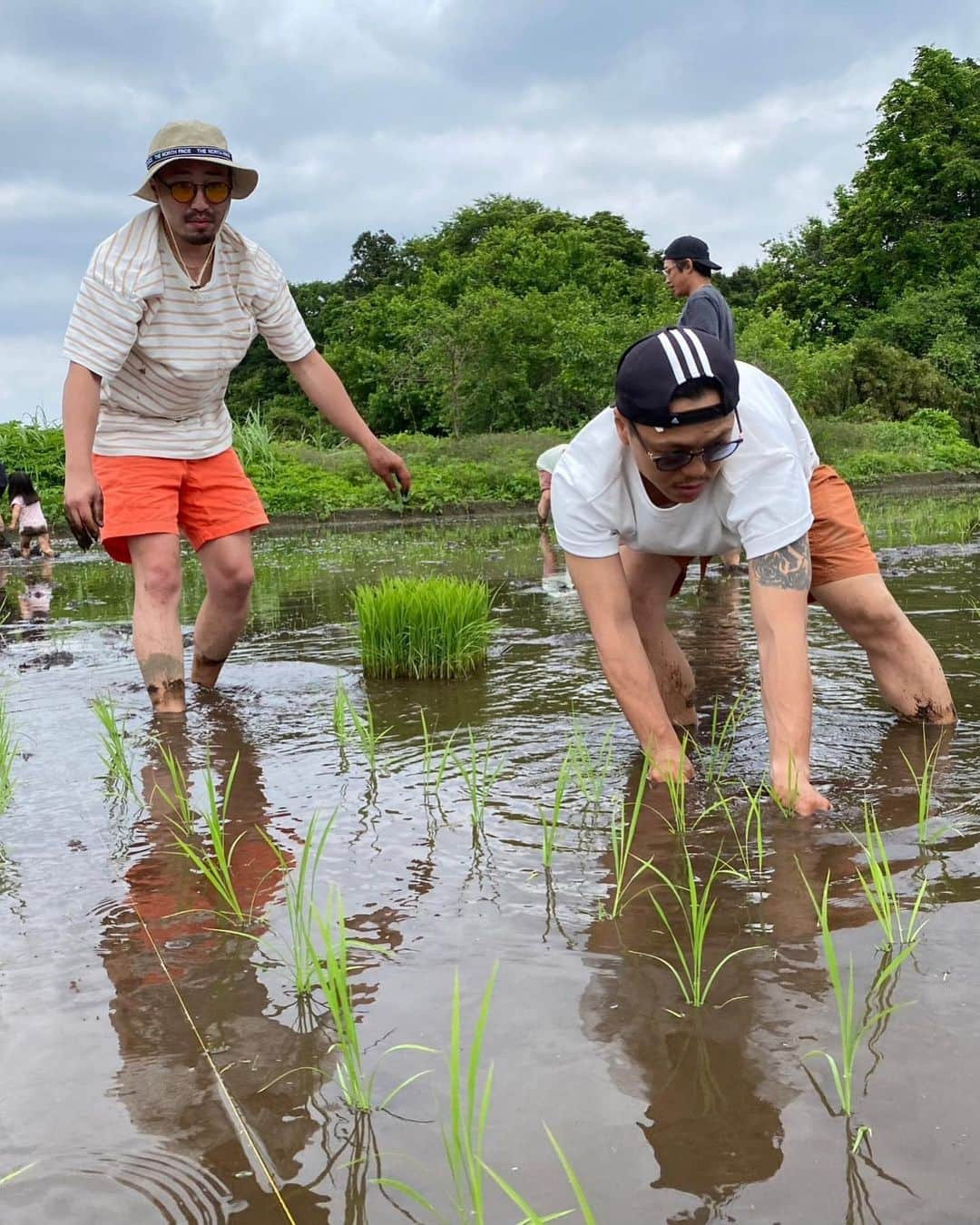 Kazukiさんのインスタグラム写真 - (KazukiInstagram)「皆んなで田植え🌾 一粒万倍日に手植えにチャレンジ. . 機械でやれば1時間で終わる作業でも、手植えだと4時間🌾 . わざわざ不便で、手間がかかることをしてでも自然から感じる体験と経験はこれからの財産になると信じてます. . 色々な人が土に触れて、色々な人の菌が土壌に還元されて最後は腸で繋がっていく田んぼ作り. 田んぼを通じて出会いの輪が繋がっていくのがなによりのやりがいです. . 無添加、無農薬のお米作りへのチャレンジ!! 参加してくれた皆んなありがとう. そして、 いつもサポートしてくれる　@kiraboshi_farm  ありがとうございます。 . 次回開催は7月予定です.」5月22日 9時21分 - kazukihamano