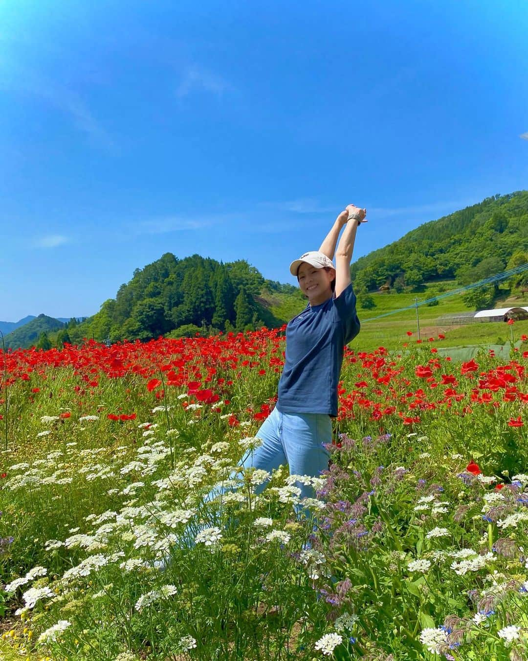 酒井瞳のインスタグラム：「田舎の景色の中  カラフルなお花畑が目立つ🌈  案内のバラ→  ってざっくりしてるのもいい味🤣  緑いっぱいの中綺麗なバラに囲まれて  貴族になった気分👸🏻笑  #宮崎 #宮崎観光 #高千穂 #高千穂町 #バラ園 #🌹 #お花 #自然 #癒し」