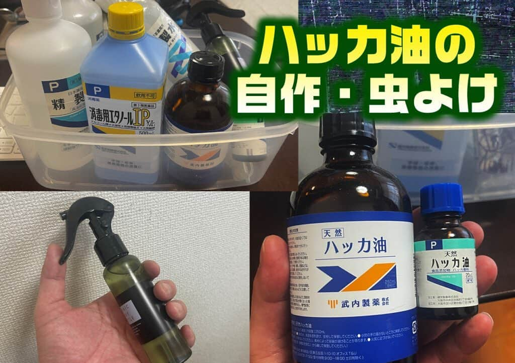 LureNews.TVさんのインスタグラム写真 - (LureNews.TVInstagram)「【ハッカ油の自作・虫よけ】超絶簡単に出来て安上り!　自作・虫よけスプレーのススメ  #ハッカ油 #虫除け #虫除けスプレー #虫よけ #虫よけスプレー #自作虫よけ  #ルアーニュース」5月22日 9時17分 - lurenews