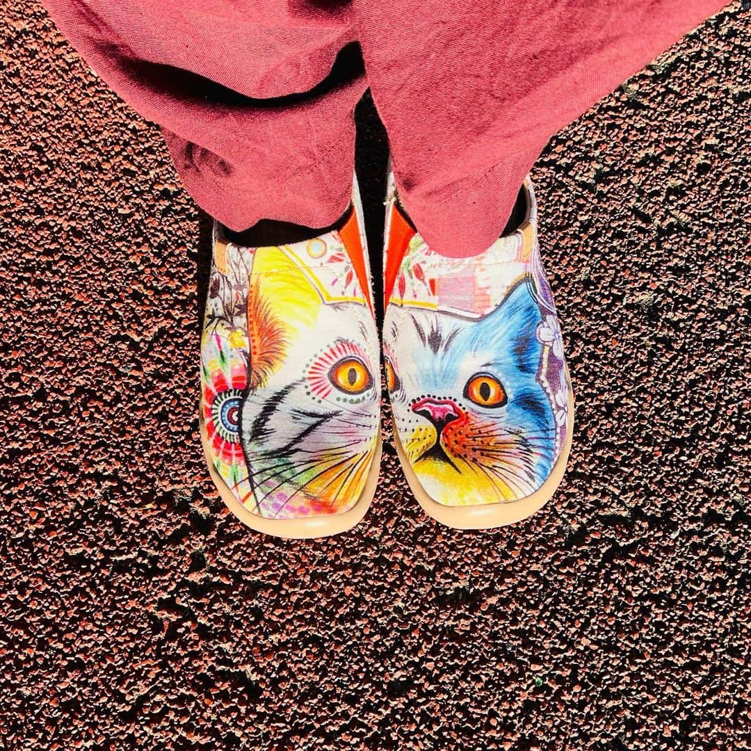 朝倉さやさんのインスタグラム写真 - (朝倉さやInstagram)「元気が出るネコズック🐈  #ねこ #ズック #shoes #colorful #Cat」5月22日 9時36分 - asakurasaya