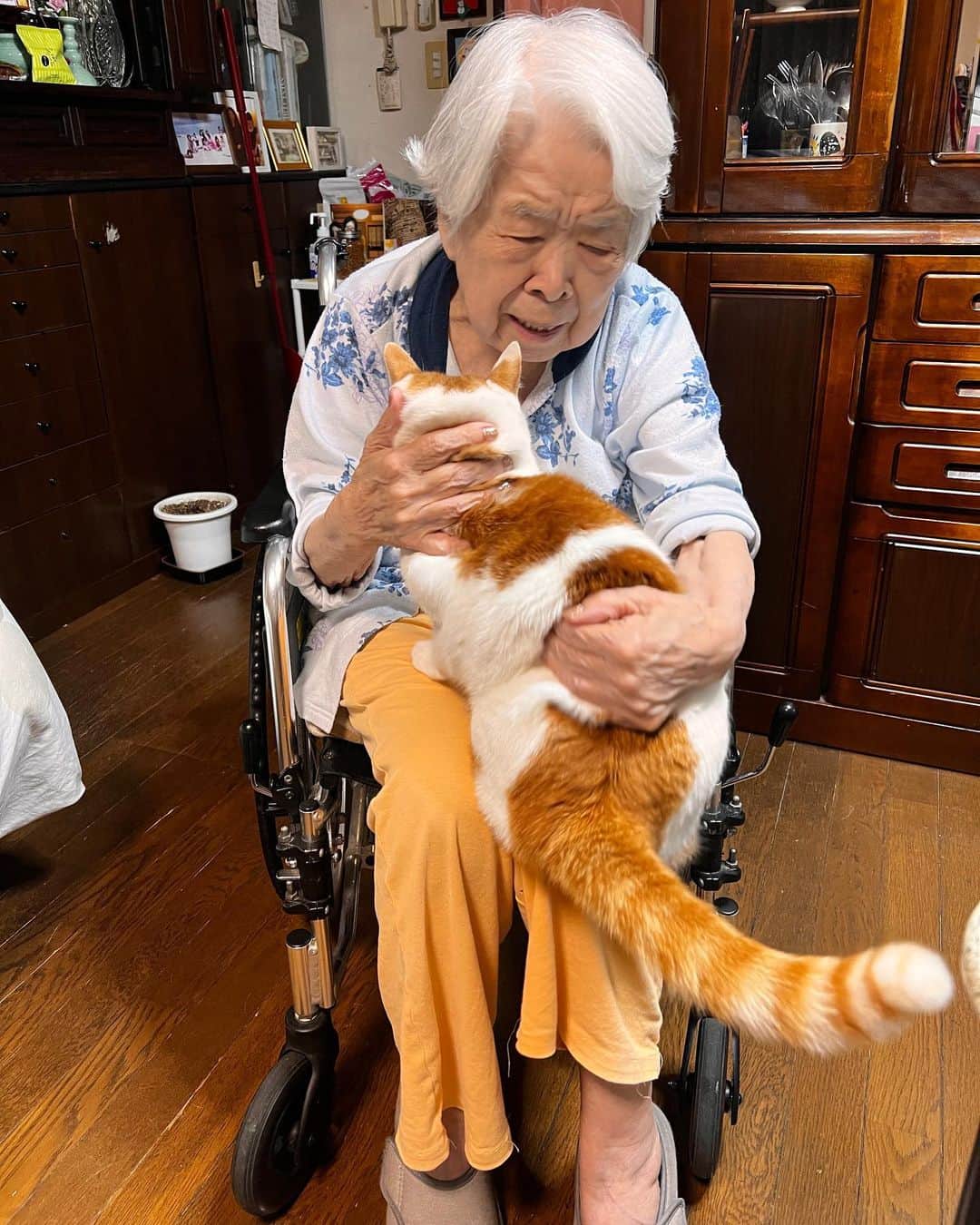 Kachimo Yoshimatsuさんのインスタグラム写真 - (Kachimo YoshimatsuInstagram)「逃げたくて、 逃げたくて。  #うちの猫ら #猫 #oinari #ねこ #ニャンスタグラム #にゃんすたぐらむ #ねこのきもち #cat #ネコ #catstagram #ネコ部 http://kachimo.exblog.jp」5月22日 10時41分 - kachimo