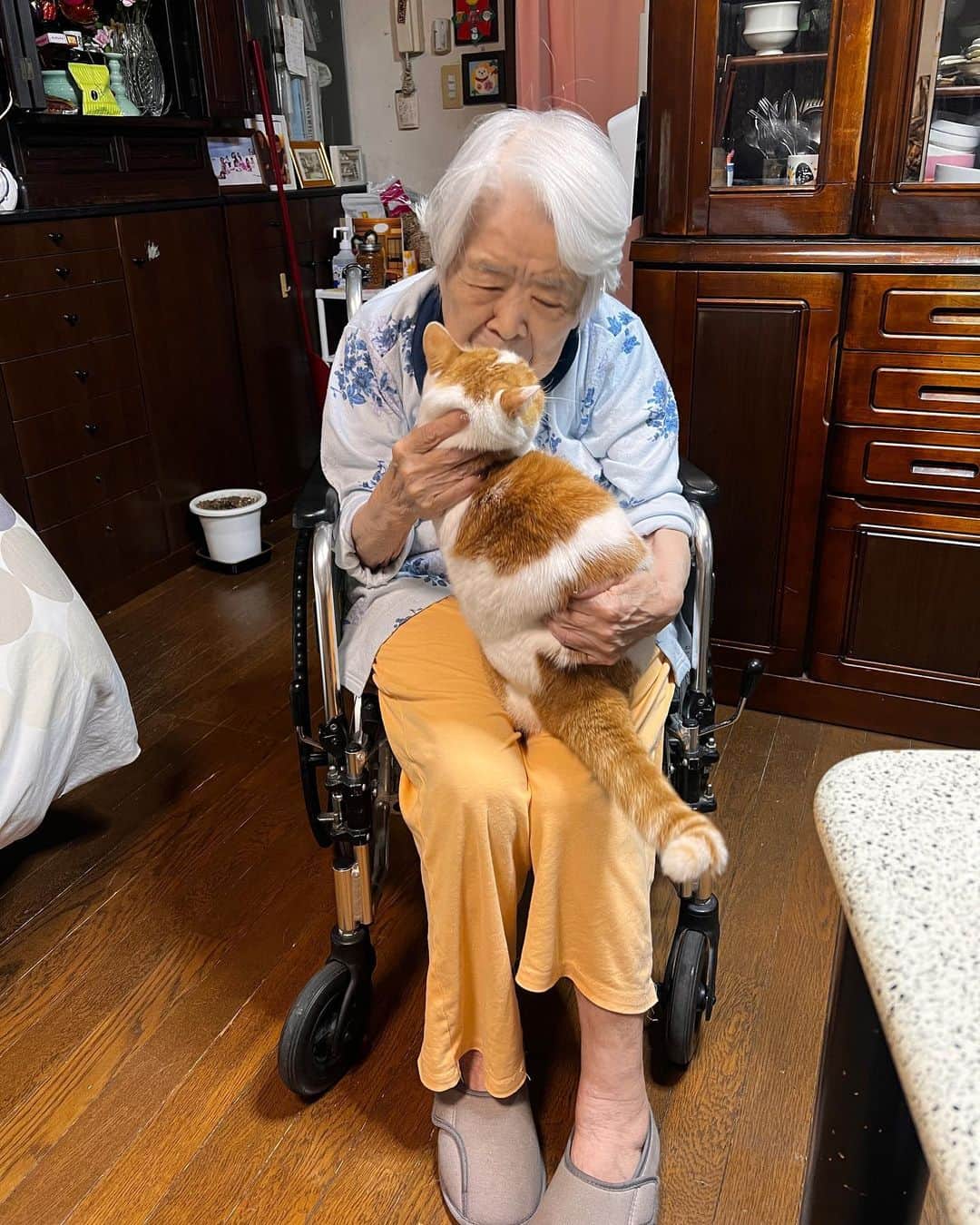 Kachimo Yoshimatsuのインスタグラム：「逃げたくて、 逃げたくて。  #うちの猫ら #猫 #oinari #ねこ #ニャンスタグラム #にゃんすたぐらむ #ねこのきもち #cat #ネコ #catstagram #ネコ部 http://kachimo.exblog.jp」