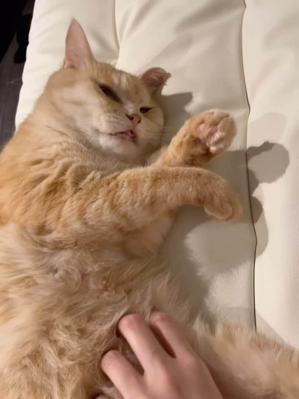 のインスタグラム：「. . 👅🩷 . .」