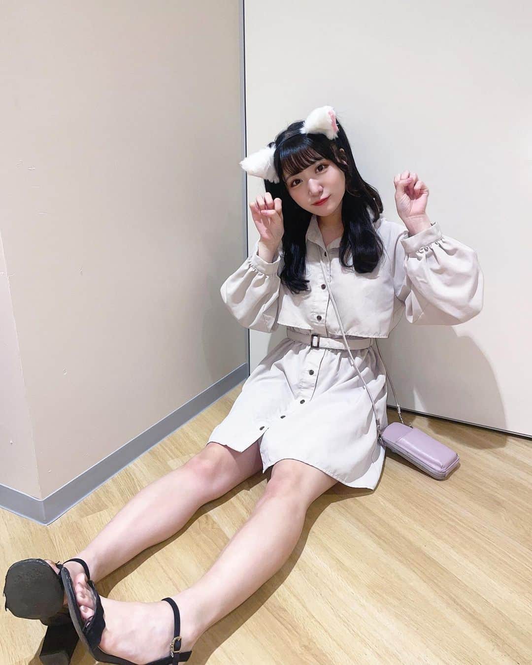 藤田みゆのインスタグラム：「にゃんこ🐈」