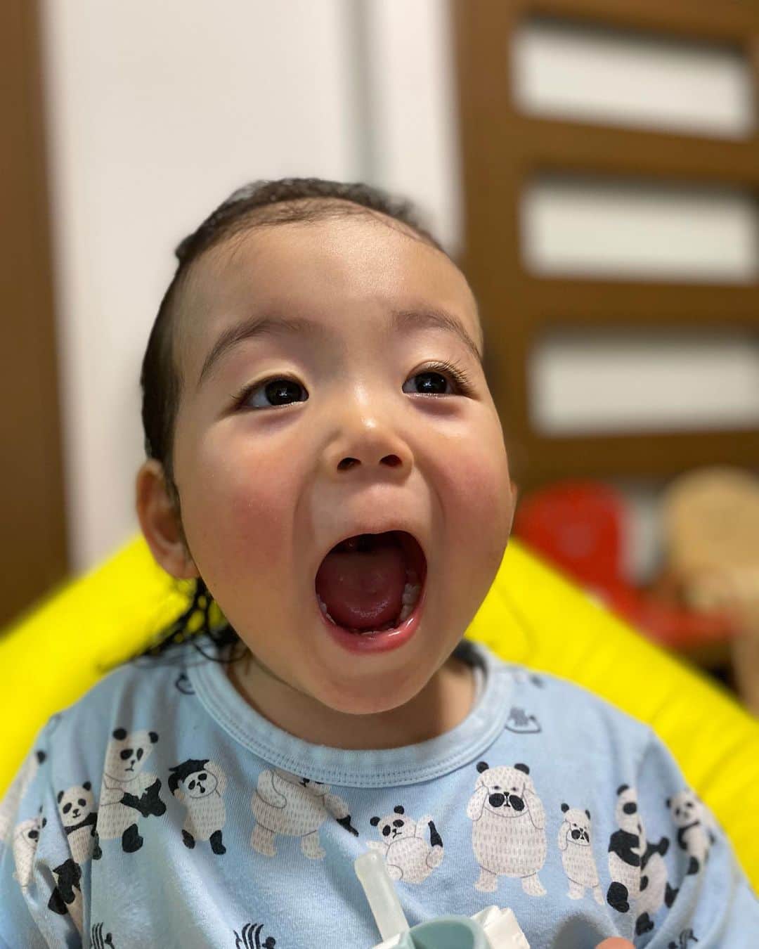 岡田義徳さんのインスタグラム写真 - (岡田義徳Instagram)「いつの間にかこんなに大きくなってる。  いつも一緒にいるけどこの時期の成長は本当に早い。 兄の影響もあり、無茶もするし良く喋るし。 最近はご飯より遊びでせっかく用意しても全然食べないし、食べないと思ったら急に食べるし。笑笑 まだ生まれて2年ちょいだもんなー、 我が子達の成長が今の俺の趣味。  我が子達  いつもありがとうございます。  #成長 #我が子 #趣味 #ちょっと愚痴」5月22日 13時01分 - yoshinori_okada_44