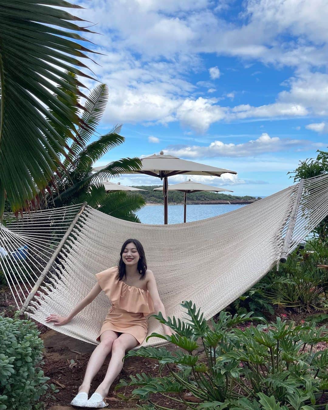 せたこのインスタグラム