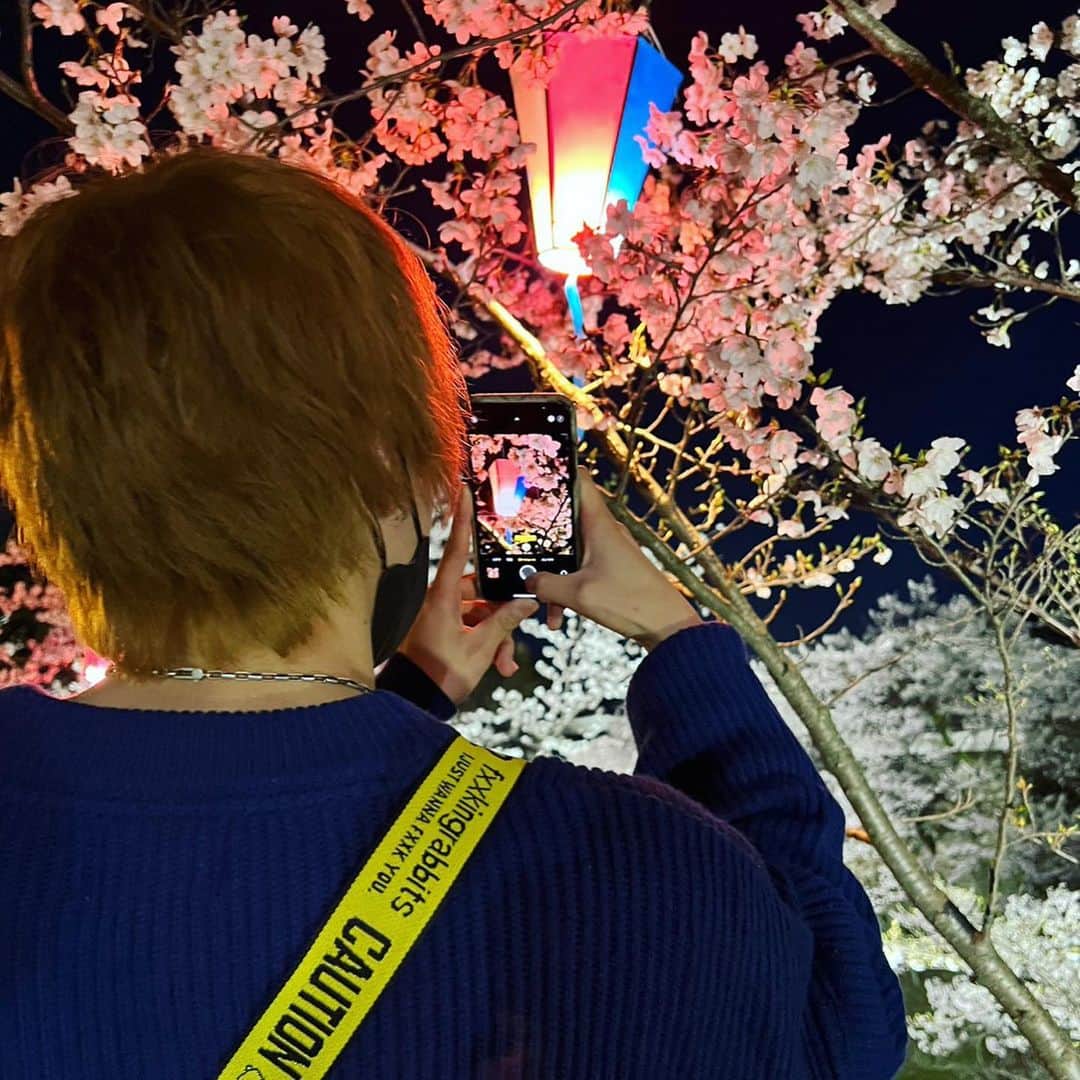 きんふんぱーりーさんのインスタグラム写真 - (きんふんぱーりーInstagram)「いつかの夜桜🌸  チーズハットグ食べる時、口にケチャップ付く人です。  #桜  #夜桜」5月22日 14時27分 - toshi_kp