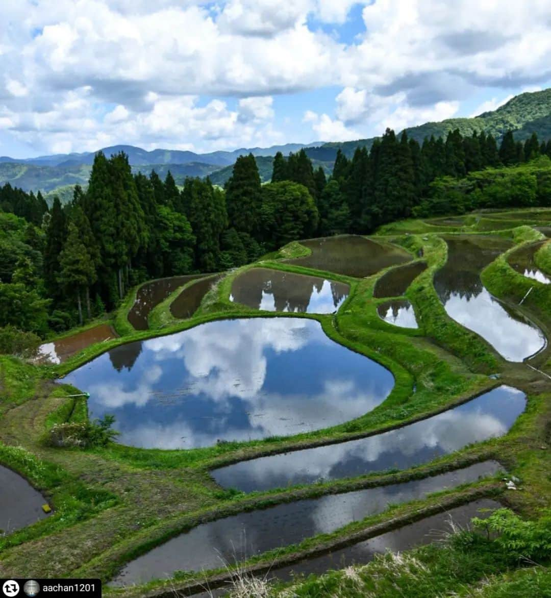 兵庫県さんのインスタグラム写真 - (兵庫県Instagram)「兵庫県公式インスタグラム『love_hyogo』です。  love_hyogoでは皆さんが #lovehyogo のハッシュタグをつけて投稿していただいた写真を紹介させていただきます。 本日のピックアップは ＠aachan1201さんのお写真です👑 ハッシュタグをつけての投稿ありがとうございます🙏🏻  写真は、香美町にある【うへ山の棚田】での一枚です📷✨  日本の棚田 100選にも選ばれている「うへ山の棚田」 山間に広がる絶景に心奪われ、誰しも写真を撮らずにはいられない美しい日本の景色ですね⛰️✨✨  この土地、地形で作るお米は『棚田米』として多くの方に愛されるおいしいお米だそうです🌾🍚  兵庫にまつわる投稿は #lovehyogo のハッシュタグをお願いします👈  This is "love_hyogo", the official Instagram of Hyogo Prefecture. We will introduce photos posted by you with the hashtag #lovehyogo on love_hyogo.  Today's pick is a photo by ＠aachan1201 Thank you for posting with the hashtag!  Please use the hashtag #lovehyogo for Hyogo related posts! #兵庫県#兵庫#hyogo #lovehyogo#love_hyogo #japan #photooftheday#followme #instagood #photography #picooftheday #happy  #うへ山の棚田 #日本の棚田百選 #フォトジェニック #自慢したい兵庫の景色」5月22日 14時53分 - love_hyogo