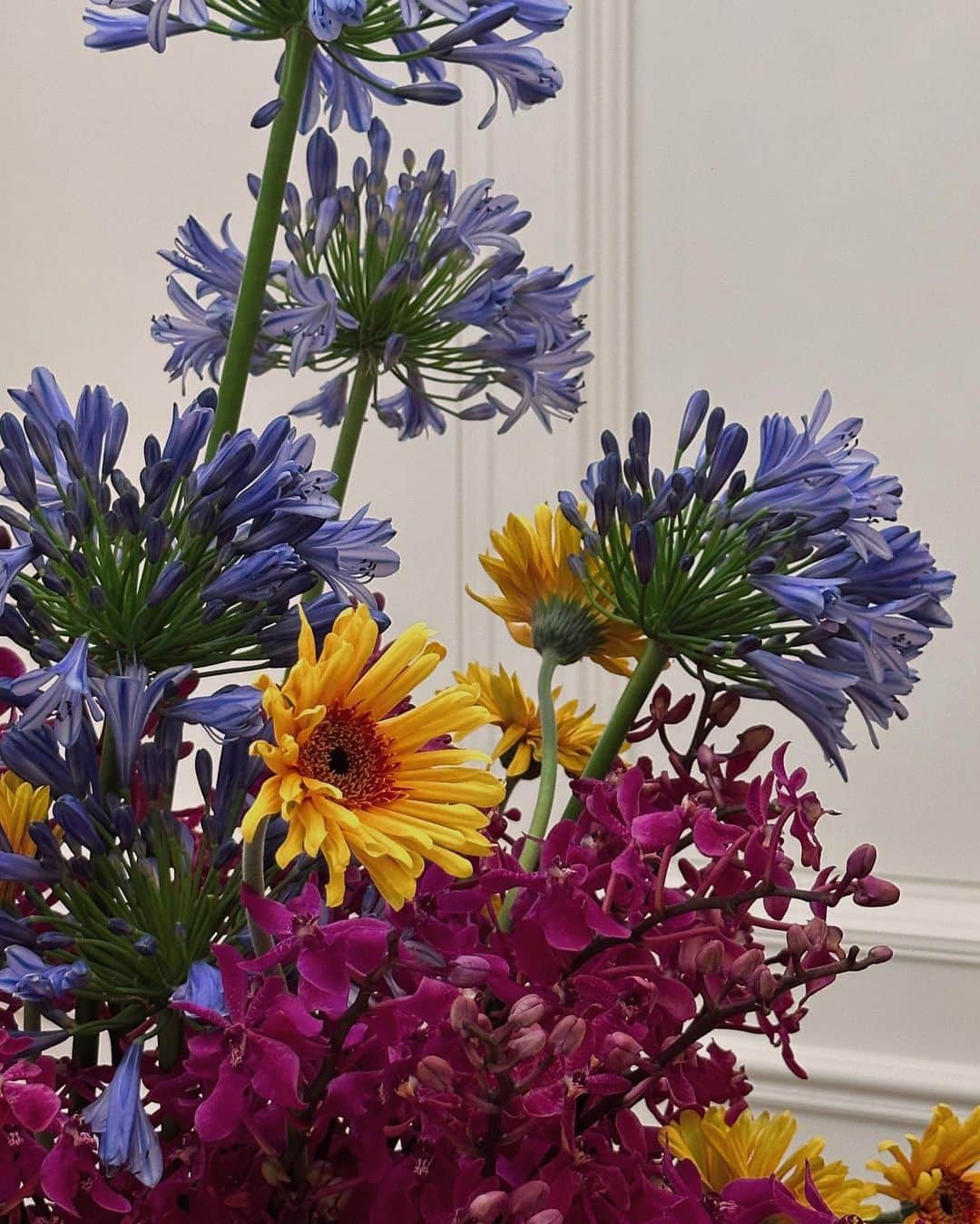 徐琁さんのインスタグラム写真 - (徐琁Instagram)「今天家裡來的美麗花兒🌸好喜歡🫶🏻」5月22日 15時07分 - cos55555