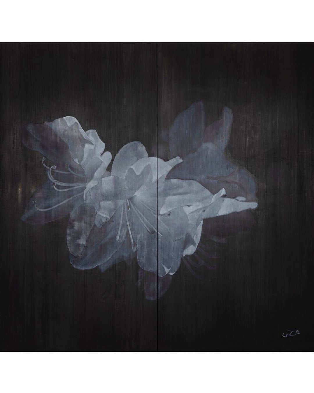 Uzo Hiramatsuのインスタグラム：「Flower in season💮  White Grace (Diptych), 2022 Painting, Sumi Ink, Pigments,  on Canvas 71x71in  #painter #Japan #fukuoka #contemporaryart #painting #drawing #mixedmedia  #flower #flowers #may」