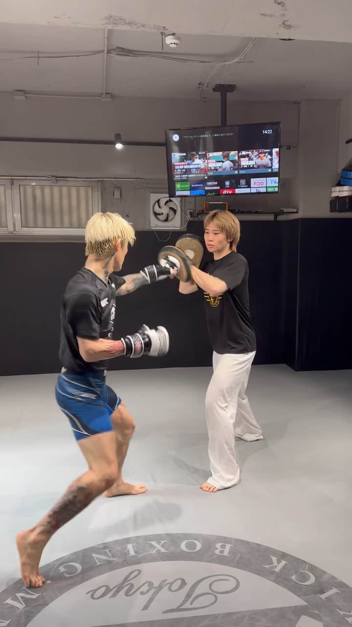 のインスタグラム：「コツコツと」