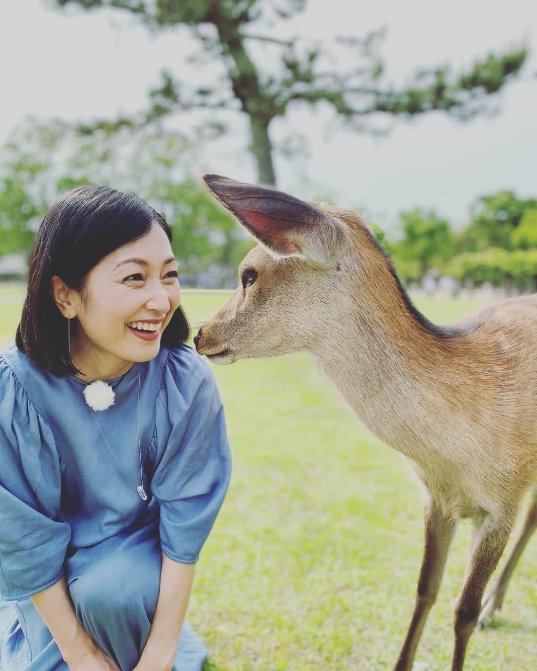 鶴田真由のインスタグラム：「仲良しこよし❤️🦌🥰❤️」