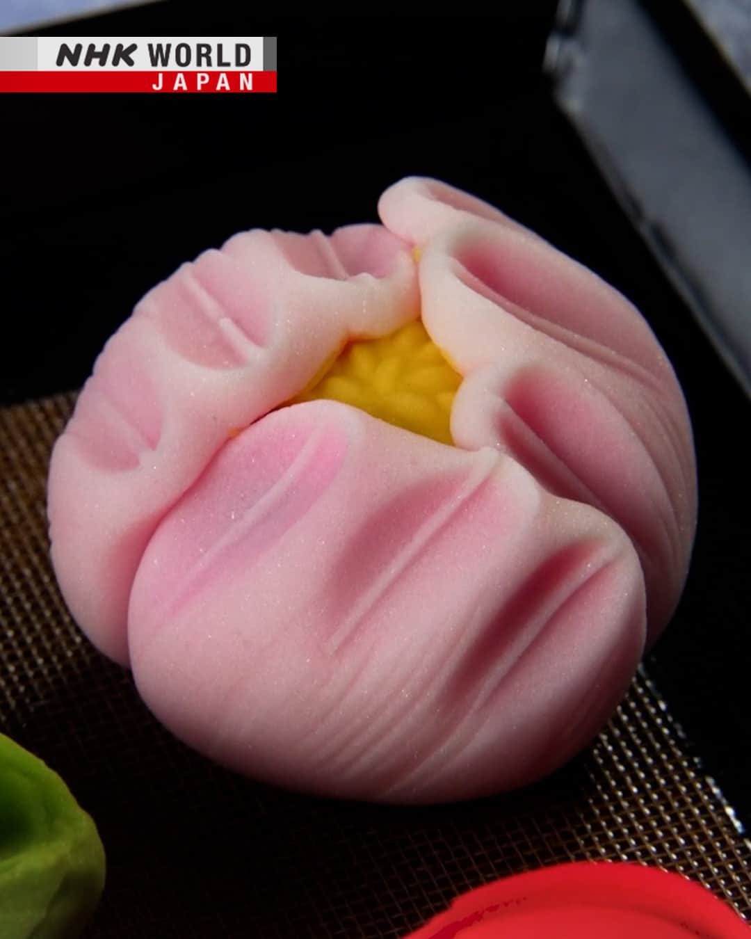 NHK「WORLD-JAPAN」さんのインスタグラム写真 - (NHK「WORLD-JAPAN」Instagram)「Beautiful wagashi Japanese confectioneries made by Tsuchie Toru, a third-generation craftsman in Matsue, Shimane Prefecture. The city is famous for its sweets, with the culture of wagashi and the tea ceremony being introduced here by Matsue’s feudal lord around 300 years ago.🍵💚😍 . 👉See how this culture remains an important part of daily life｜Watch｜Journeys in Japan - Matsue: The World of Wagashi｜Free On Demand｜NHK WORLD-JAPAN website.👀 . 👉Follow the link in our bio for more on the latest from Japan. . 👉If we’re on your Favorites list you won’t miss a post. . . #wagashi #japanesesweets #japaneseconfectionary #和菓子 #teaceremony #matcha #抹茶 #matchalover #matchagreentea #matchatea #greentea #sado #teabowl #fumai #不昧流 #jonamagashi #gyuhi #saemidori #sencha #bancha #kinton #kingyokukan #mihonoseki #matsue #shimane #journeysinjapan #japan #nhkworldjapan」5月23日 6時00分 - nhkworldjapan