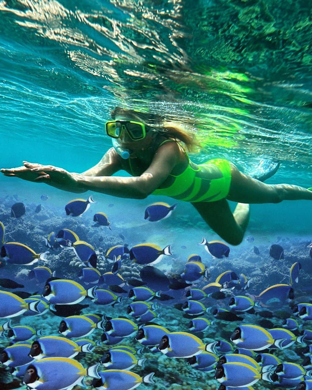 ヤナ・ルドコフスカヤさんのインスタグラム写真 - (ヤナ・ルドコフスカヤInstagram)「My beautiful underwater morning world at the @joalimaldives 🐠💚」5月22日 16時11分 - rudkovskayaofficial