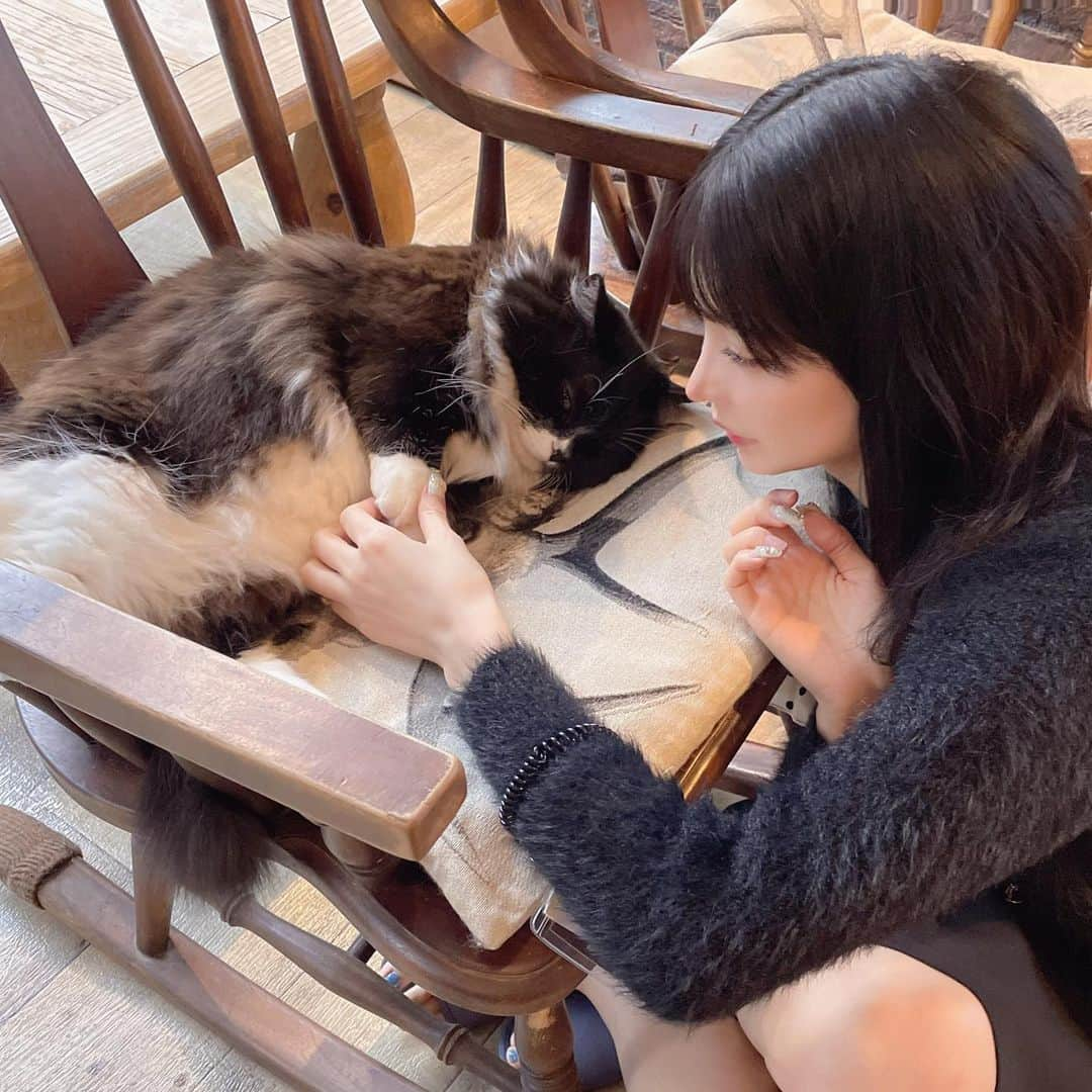 米倉みゆさんのインスタグラム写真 - (米倉みゆInstagram)「久しぶりの猫カフェだ～ 最近もふってなかったので 癒されました🐱 . 今日のおやつ動画 3にゃんとも可愛く撮れたので 全部見てね💕︎ . 最近は海外からのかたも増えてるみたいだけど、スタッフさん英語で対応してた～しゅごい。。さすが大手猫カフェさん🐱 . そろそろ渋谷公園通り店にも行きたいな！🥺 . . . . . #東京猫カフェ #癒されスポット #ねこのいるカフェ #渋谷カフェ #猫カフェmocha #猫カフェmocha渋谷センター街店 #渋谷猫カフェ #猫カフェモカ #猫 #猫のいる暮らし #猫好きさんと繋がりたい #アメリカンショートヘア #アメショ #可愛い #かわいい #可愛い女の子 #かわいいねこ #ねこすたぐらむ #ねこ  #ねこ部 #動物カフェ #癒し #cat #kitty  #catcafe #catsofinstagram #catstagram #catlover #cats #cute PR @catcafemocha」5月22日 16時36分 - yone__miyu630