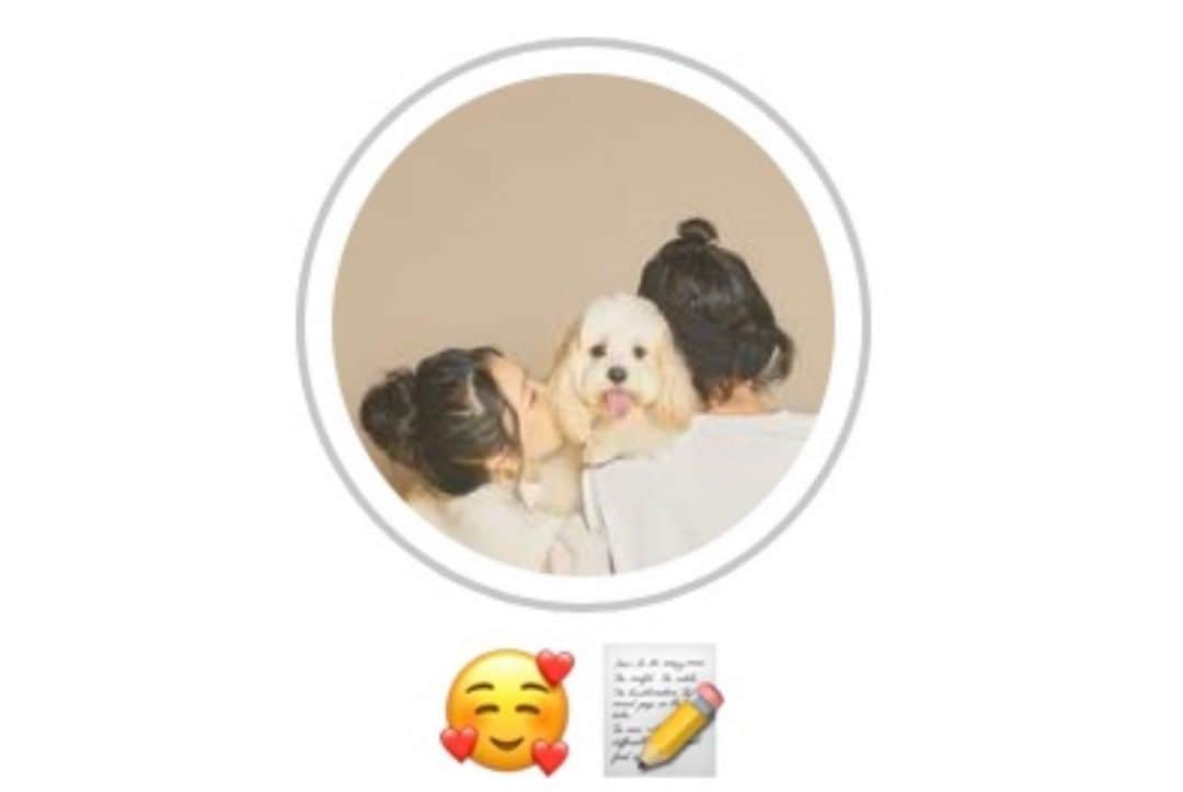 あんちゃんさんのインスタグラム写真 - (あんちゃんInstagram)「家族愛🐶❤️  先日ストーリーでもお伝えしましたが @wanqol さんに あんちゃんとの生活を取材していただき 記事になりました🥰📝  あんちゃんを迎えた時のことや 娘が産まれて環境が変わったこと、 そして今後のことなど 私たち夫婦のあんちゃんへの思いが たくさん詰まってます☺️  一部抜粋になりますが…  『犬の生涯が幸せかどうか』は飼い主次第。 犬は自分で選択ができません。 飼い主に全てがかかっています。  これに尽きるなと😌✨  あんちゃんをいかに幸せにしてあげられるか。 豊かな一生を送らせてあげられるか。  それが私たちの夫婦の 人生のテーマでもあります👨🏻👩🏻  ぜひ読んでいただきたいので ストーリーのハイライトに残しました📝  お時間ある時よろしければ…🐶❤️  パピー期も含め あんちゃんの可愛い写真も たくさん載ってます🤣💘  @wanqol さま この度はお声かけいただき 素敵な記事にしてくださり ありがとうございました🙇🏻‍♀️✨✨  #キャバションあんちゃん  #あんちゃん　#ぬいぐるみ犬 #スヌーピー  #スヌーピー犬 #キャバション　#キャバビション　 #キャバリア #キャバリアキングチャールズスパニエル #ビションフリーゼ　 #犬  #いぬすたぐらむ #犬のいる暮らし  #わんこなしでは生きていけません会 #いぬのきもち  #犬好きな人と繋がりたい #短足部　#比熊犬 #doglove #cavachon #inustagram #puppy  #snoopy #andy #멍스타그램 #개스타그램　#댕스마스」5月22日 17時16分 - anchan_0115_andy