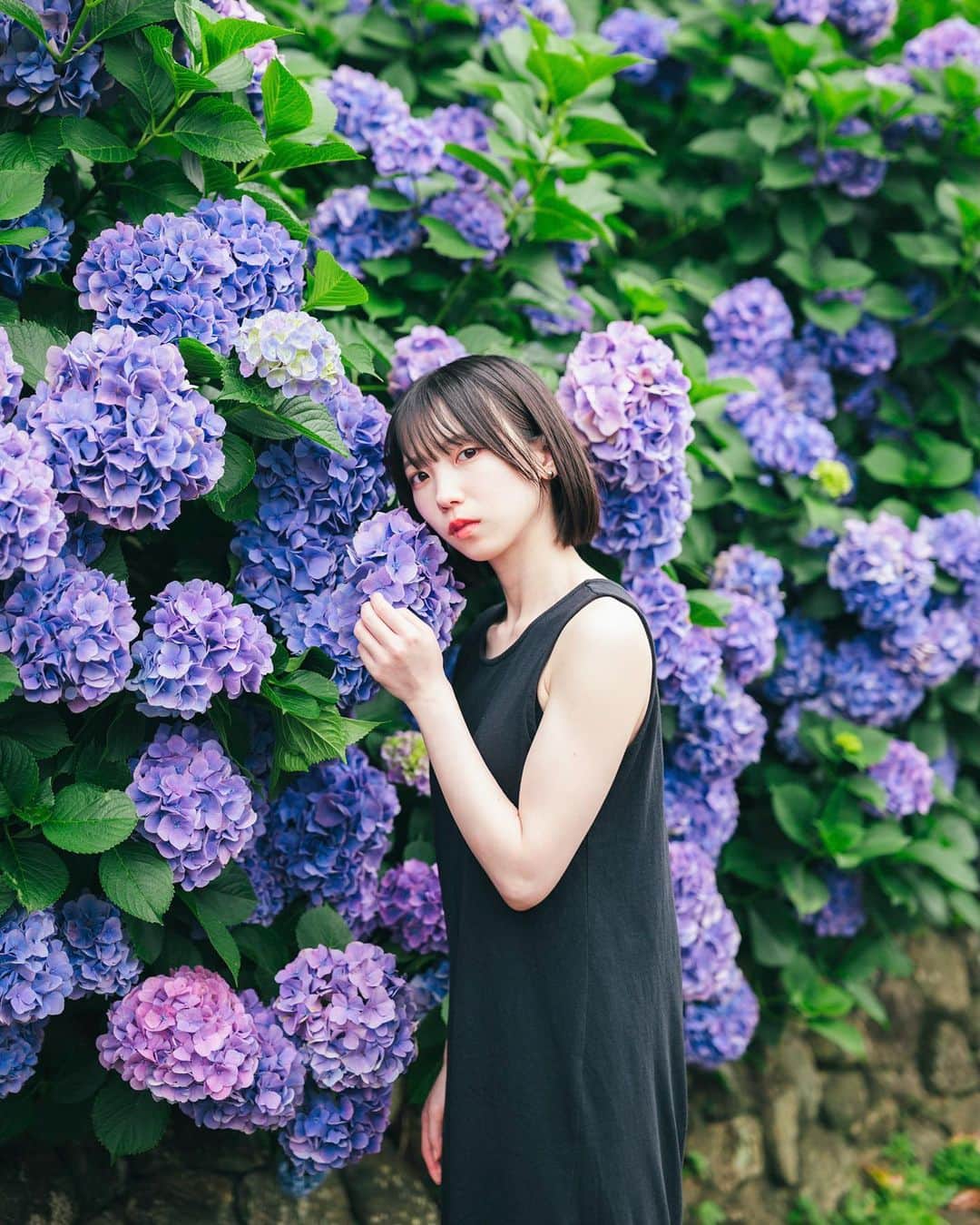 Yuma Takatsukiさんのインスタグラム写真 - (Yuma TakatsukiInstagram)「. . . hydrangea . . . . . . もう今年は咲き始めてるらしい。 6月の1.2週目くらいに撮りに行きたいな。 また募集するかもしれないので よかったら反応ください…！ ⁡ それでは今日もお疲れさまでした！ . Tokyo／Japan LUMIX S1R／LUMIX S 50mm F1.4 . ―――――――――――――――――――――――――― 関西を中心にフリーランスで活動しています。 Web広告、個人撮影、家族撮影、PR撮影など、 5月以降の撮影依頼募集中です。 ⁡ ⁡Yuma Takatsukiオリジナルプリセットも販売中です。 ⁡プロフィールのポートフォリオサイトからご覧下さい。  またフォトサークルITTOKOという活動をしています。 ⁡ハイライトに色んなイベントをまとめています。 ――――――――――――――――――――――――――」5月22日 18時45分 - yu_umaa06