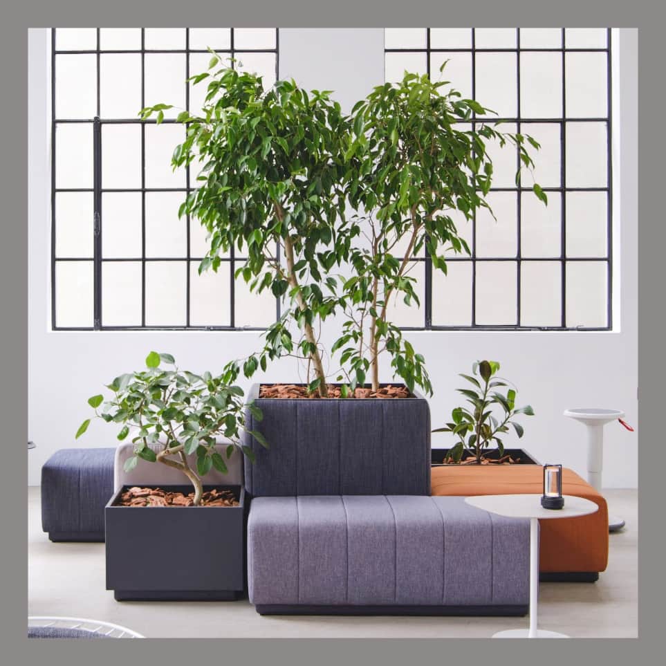 Cassina ixc. (カッシーナ・イクスシー) のインスタグラム