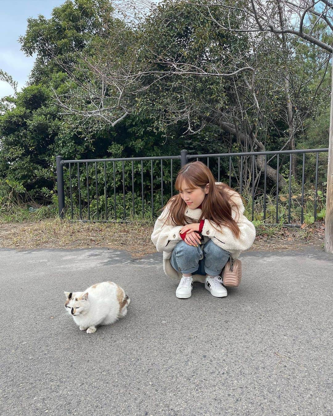 坂本 愛玲菜さんのインスタグラム写真 - (坂本 愛玲菜Instagram)「いつかの鹿児島🏔️with my family👪  #桜島 #鹿児島 #家族旅行」5月22日 19時29分 - erena_hkt48