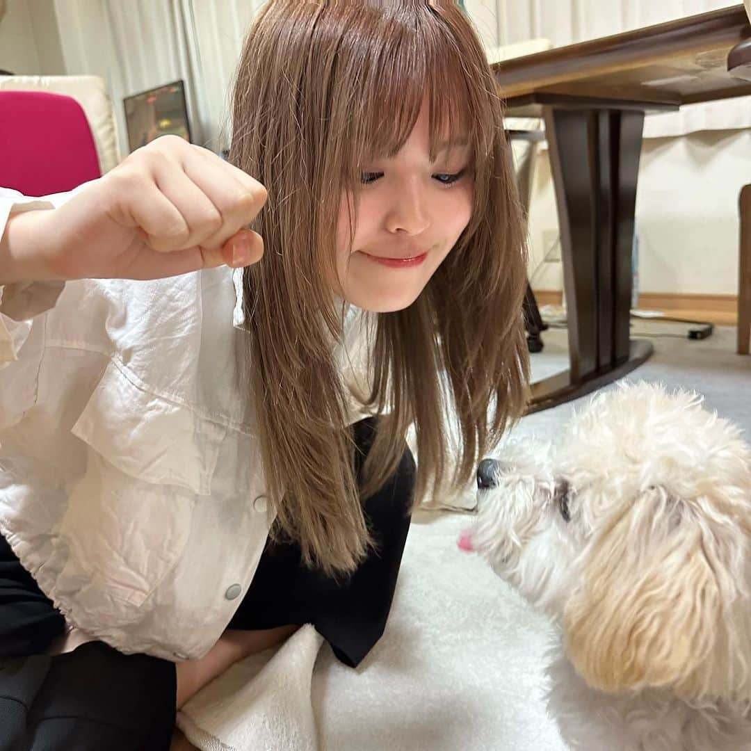 おさきさんのインスタグラム写真 - (おさきInstagram)「わんちゃん飼いたい🐩🐩🥲💕🫶🏻」5月22日 19時43分 - sakichanman_you