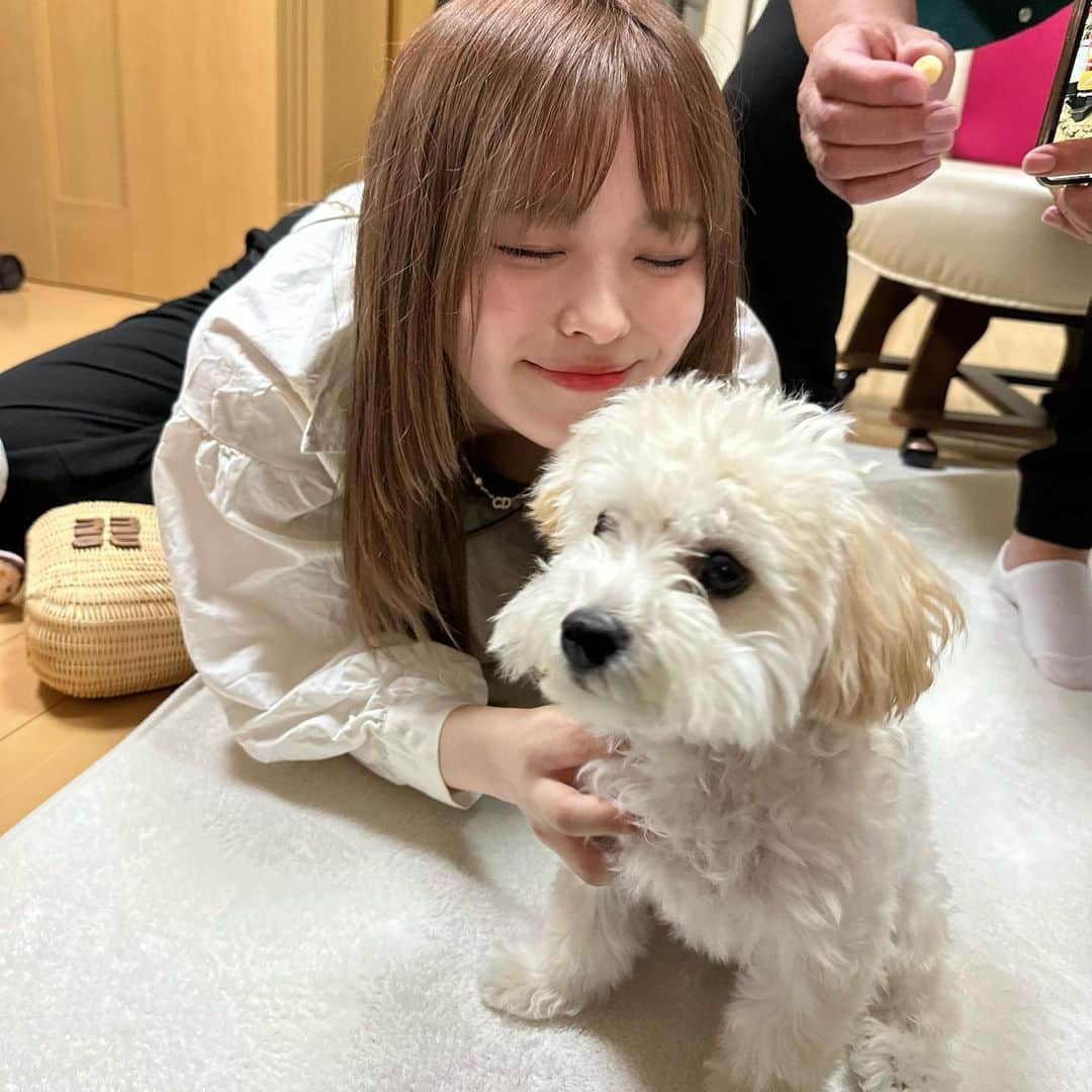 おさきさんのインスタグラム写真 - (おさきInstagram)「わんちゃん飼いたい🐩🐩🥲💕🫶🏻」5月22日 19時43分 - sakichanman_you